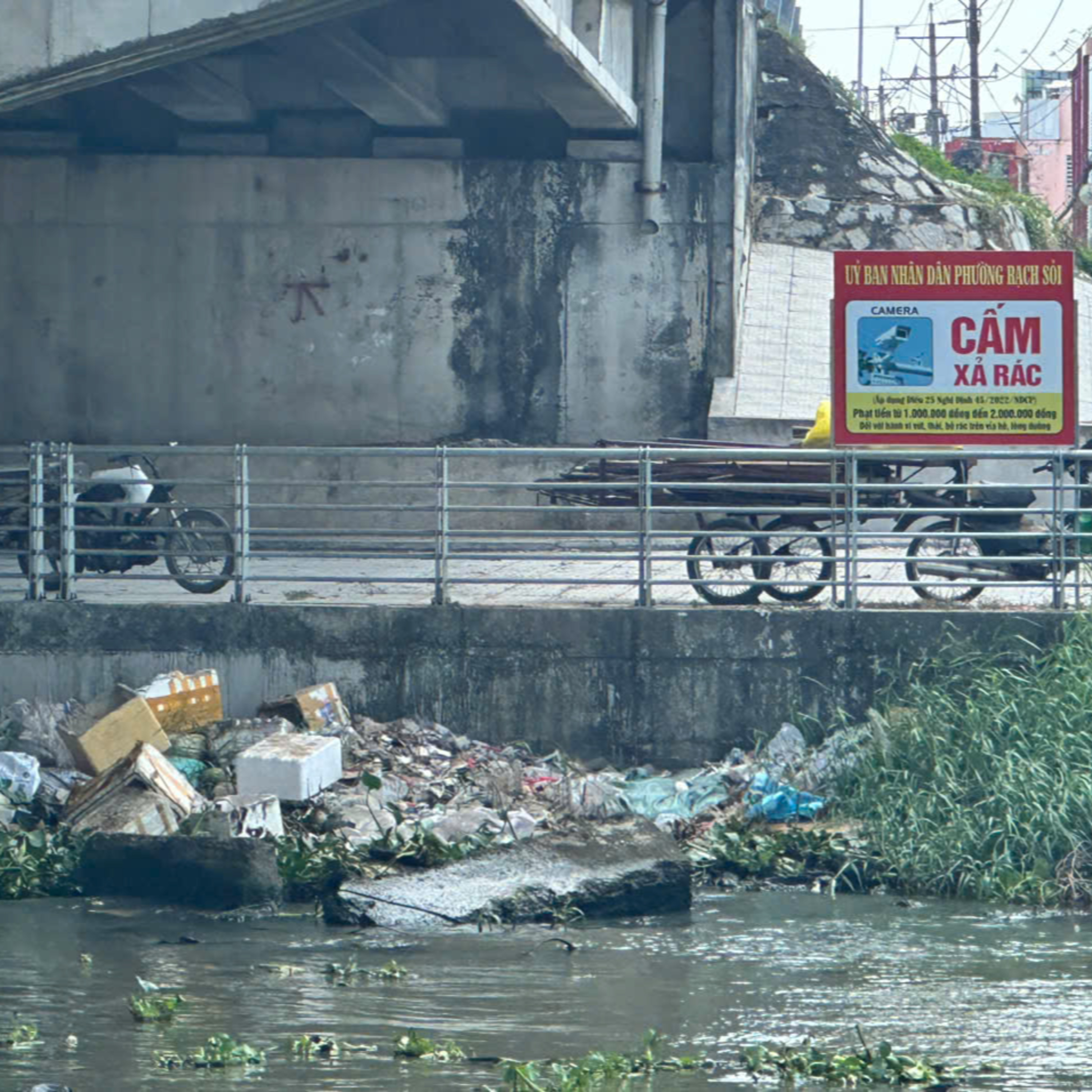Vì những dòng sông xanh episode artwork