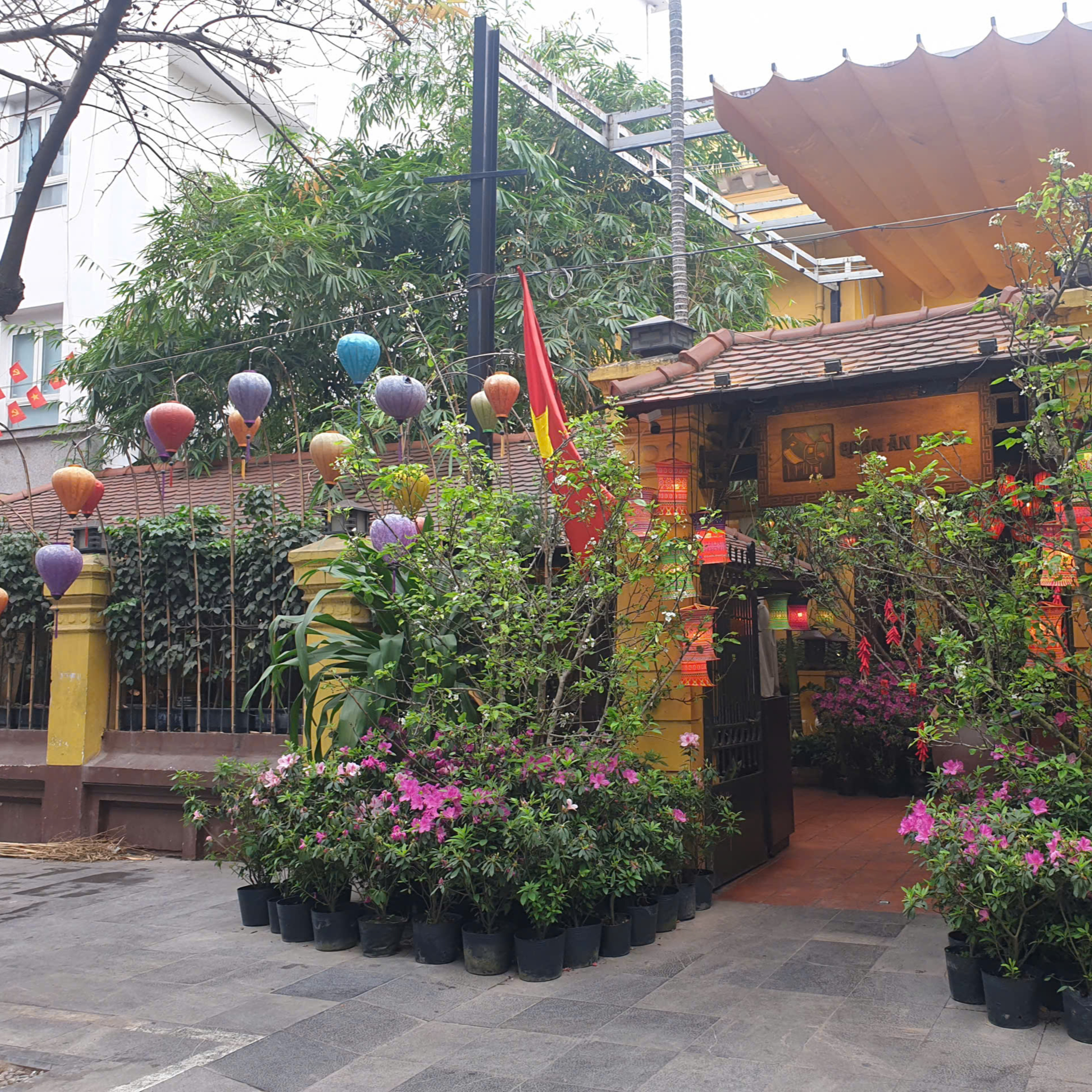 Bộ hành qua phố: Tiếng piano trong ngôi nhà cổ episode artwork