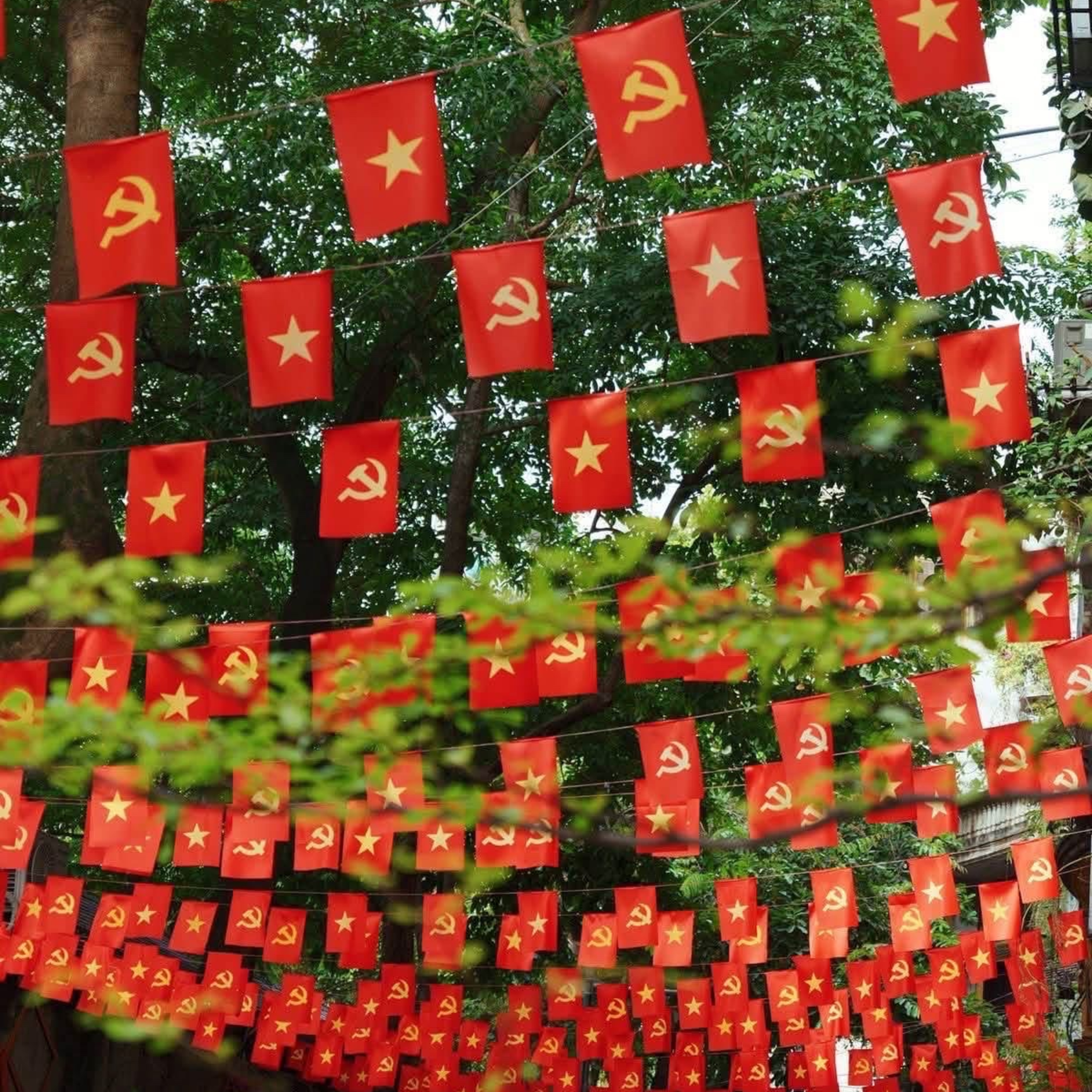 Sài Gòn sống và yêu: Những con hẻm nhỏ yên bình rợp bóng cờ Tổ quốc episode artwork