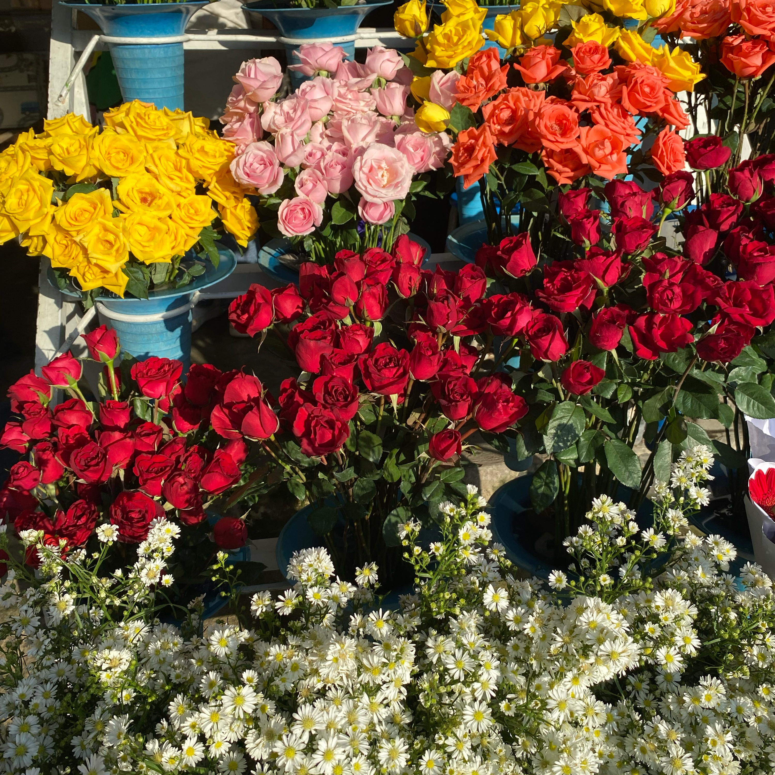 2025 edition - Spilling the Tea! ☕️🫖