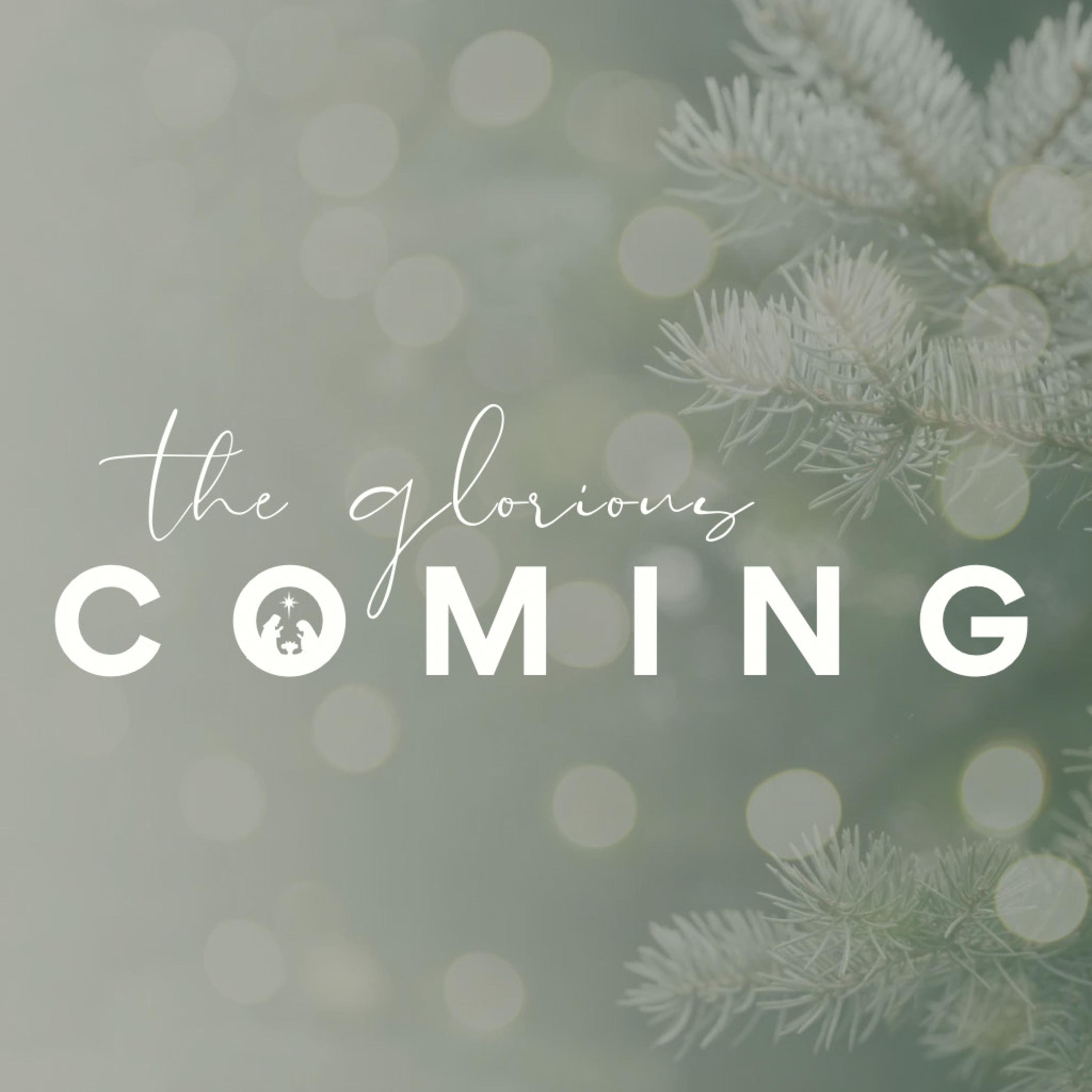 The Glorious Coming- John 1:1-14 episode artwork
