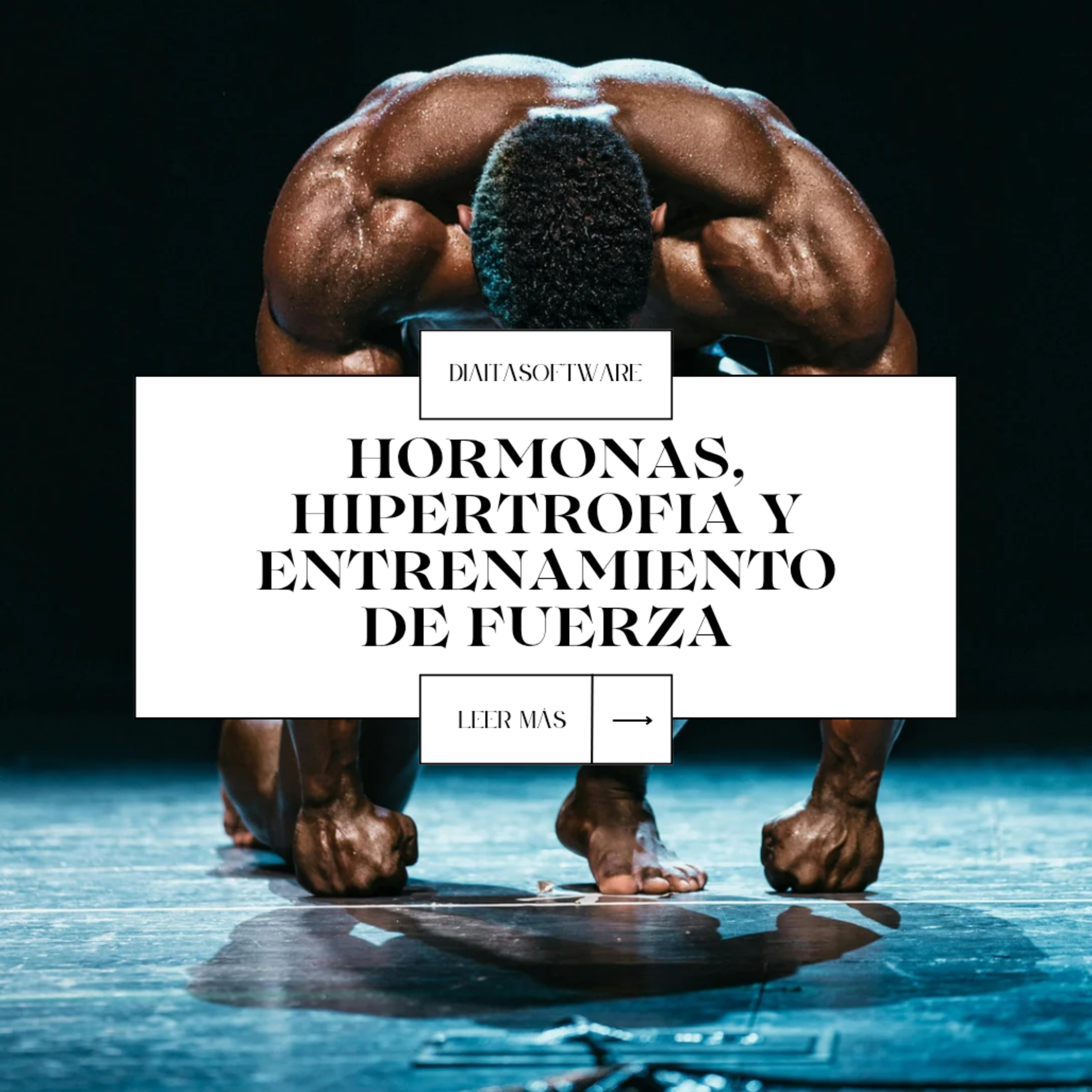 HORMONAS E HIPERTROFIA episode artwork
