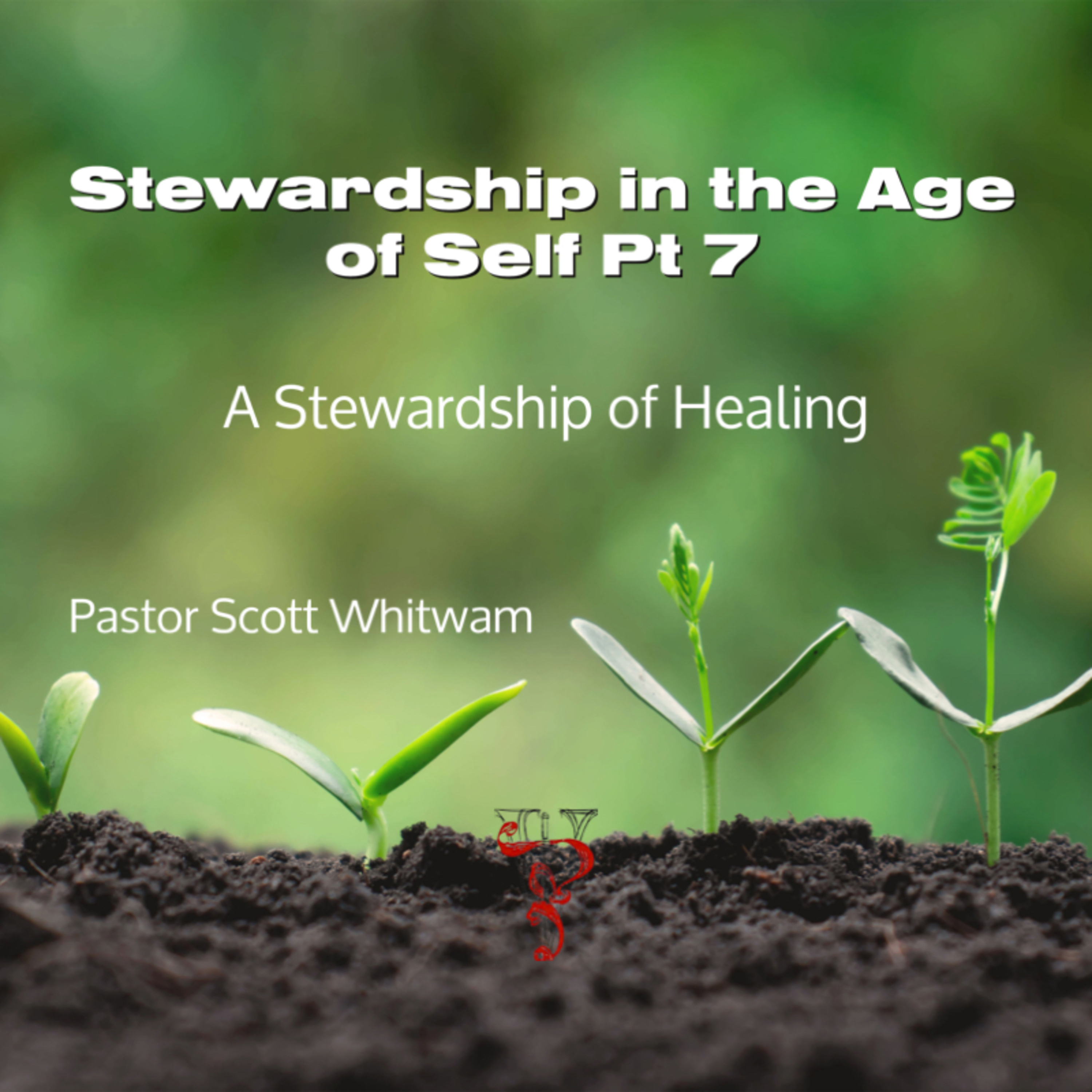 Stewardship in the Age of Self Pt 7 - A Steward of Healing | ValorCC  episode artwork