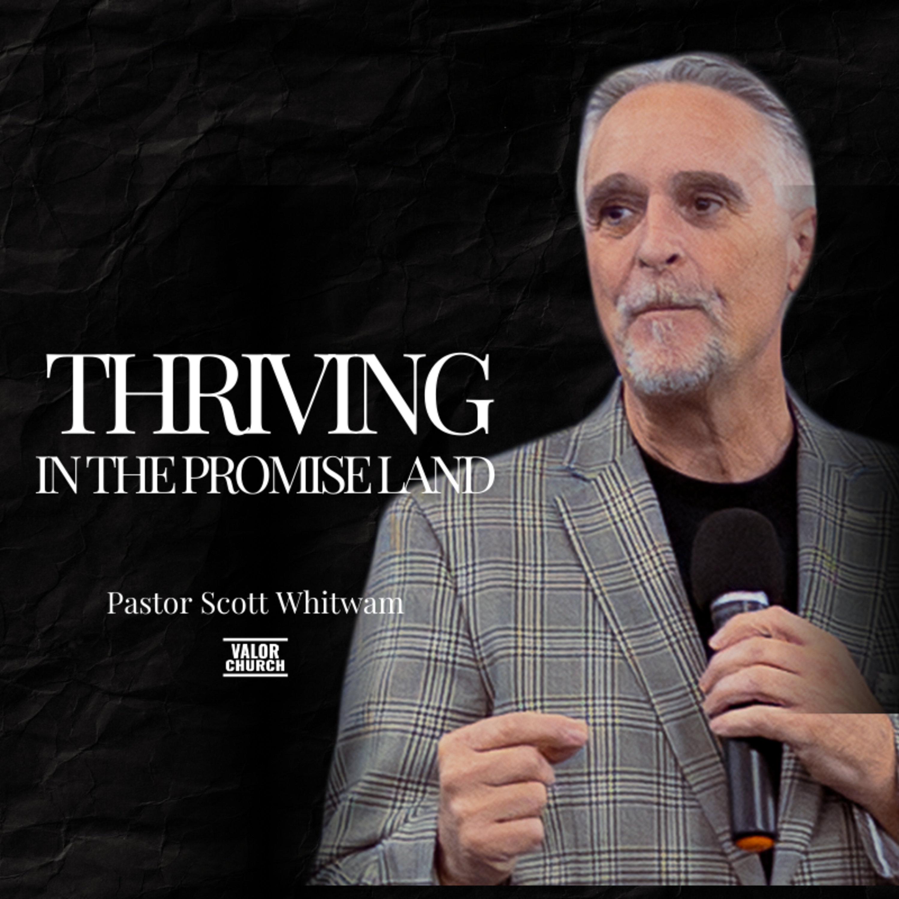 Thriving in the Promise Land episode artwork