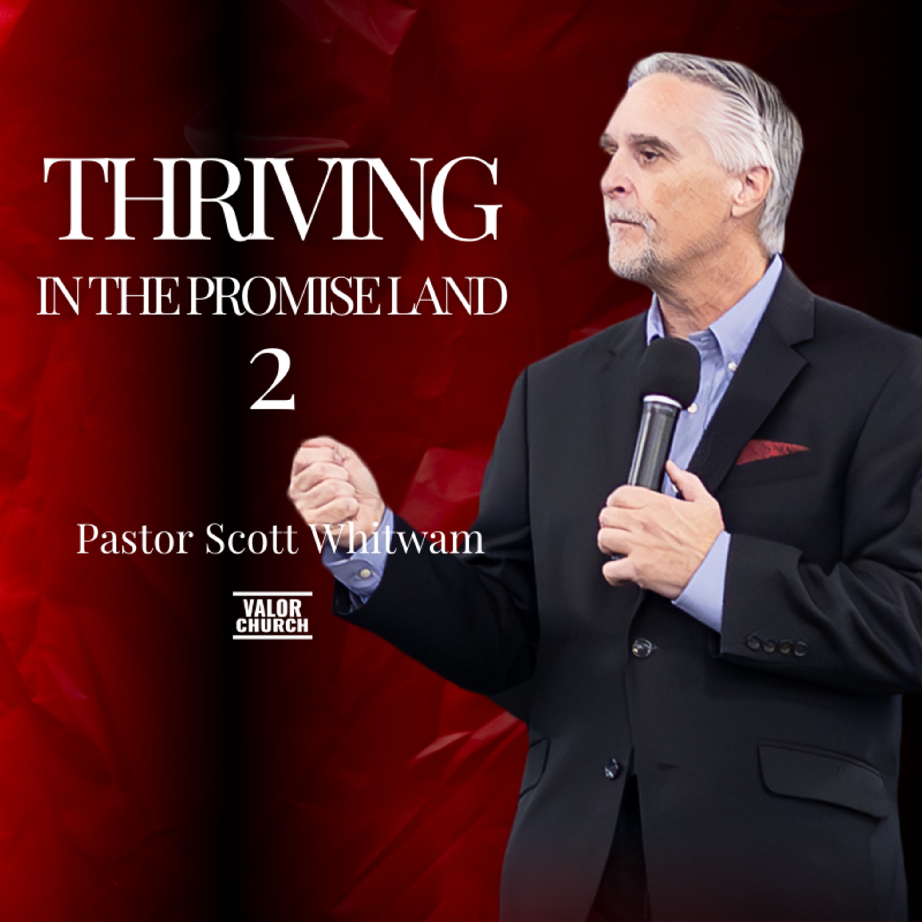 Thriving in the Promise Land Pt 2 episode artwork