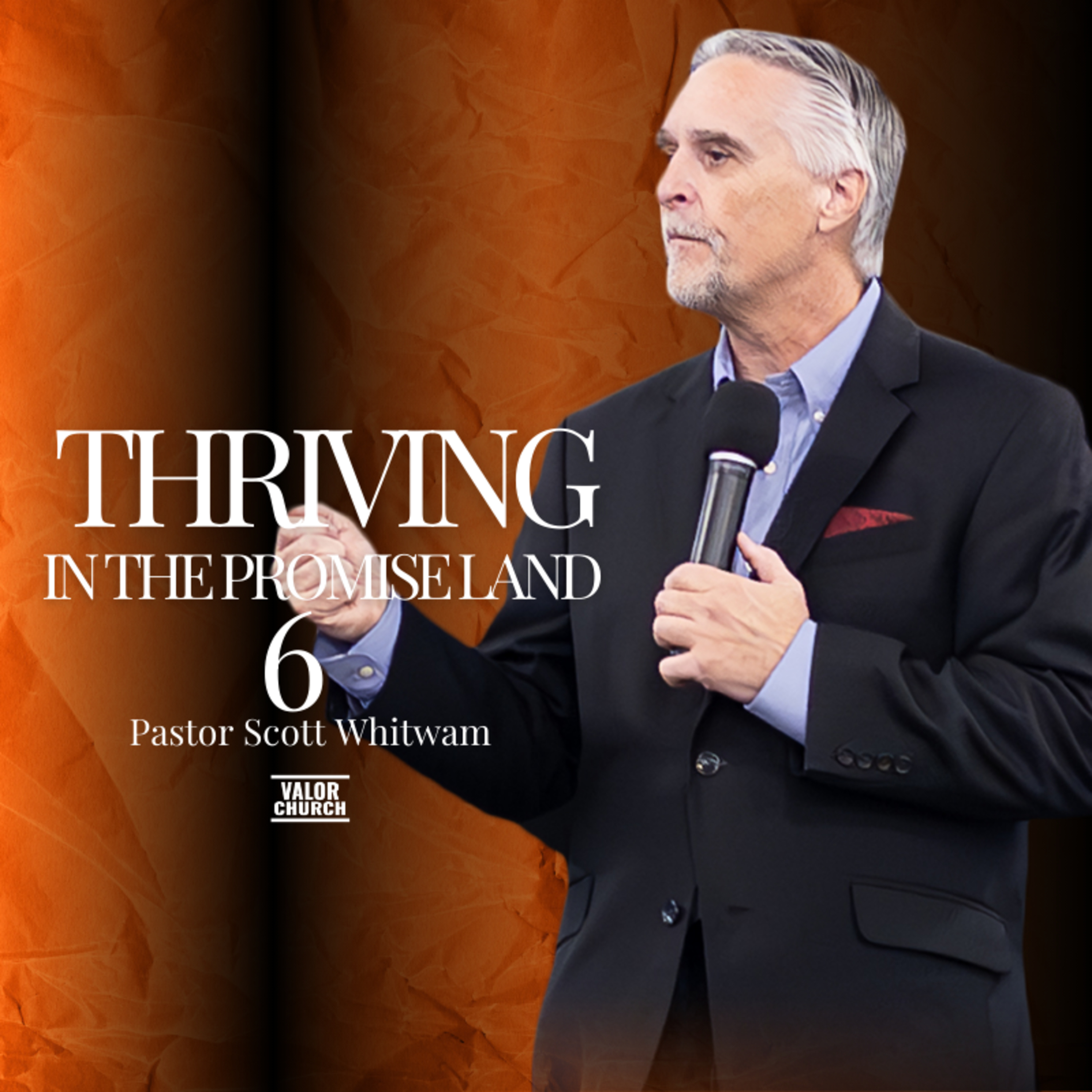 Thriving in the Promise Land Pt 6 episode artwork
