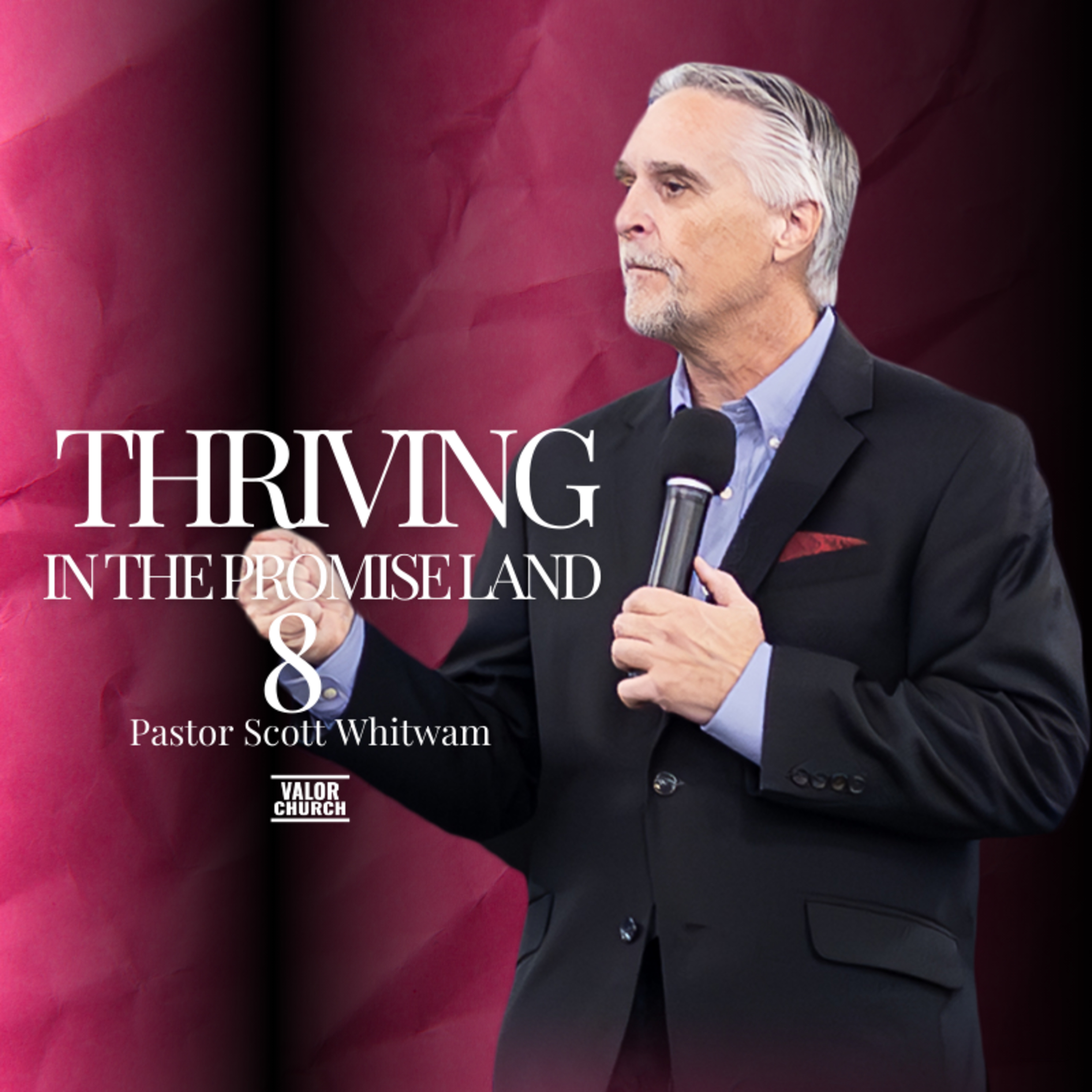 Thriving in the Promise Land Pt 8 episode artwork