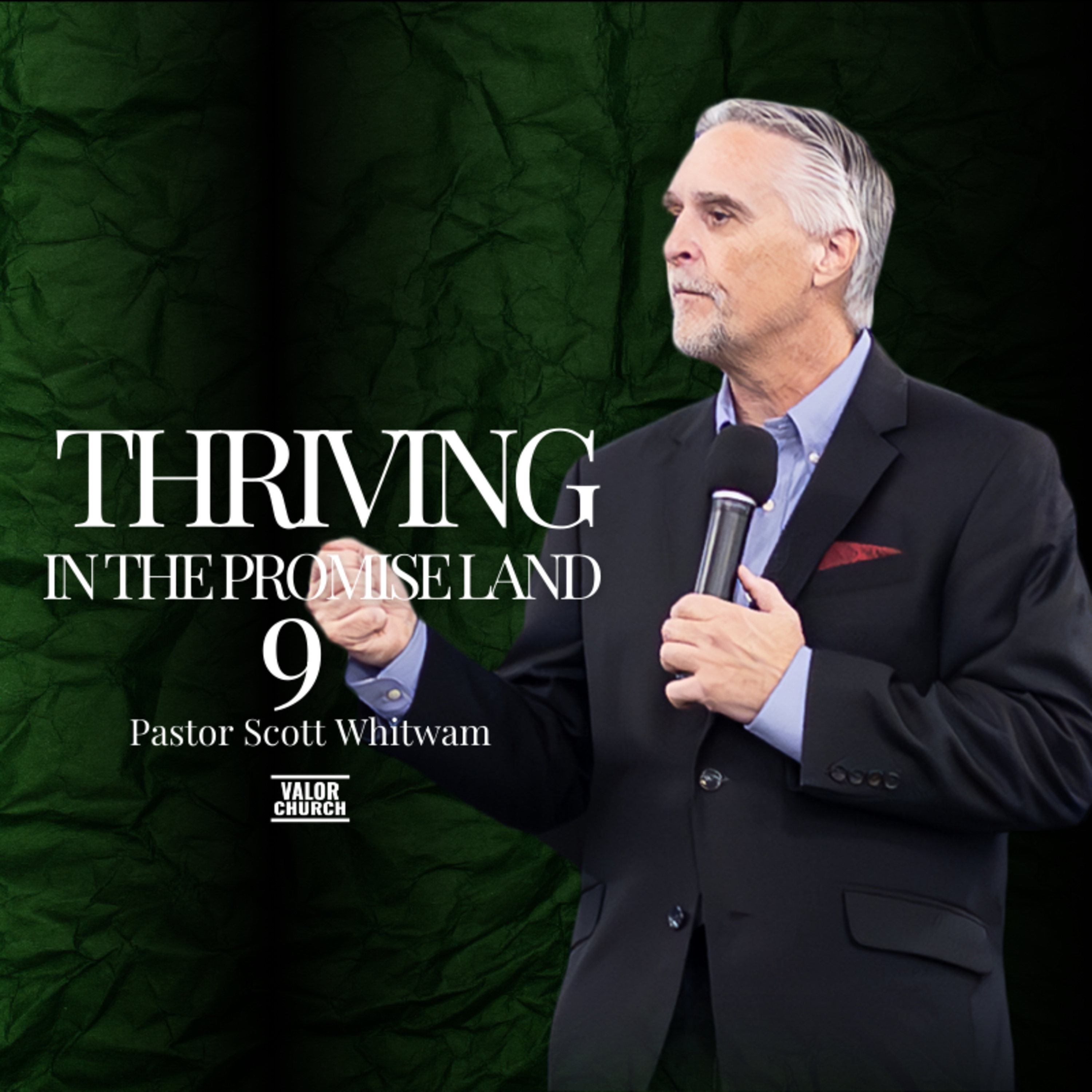 Thriving in the Promise Land Pt 9 episode artwork