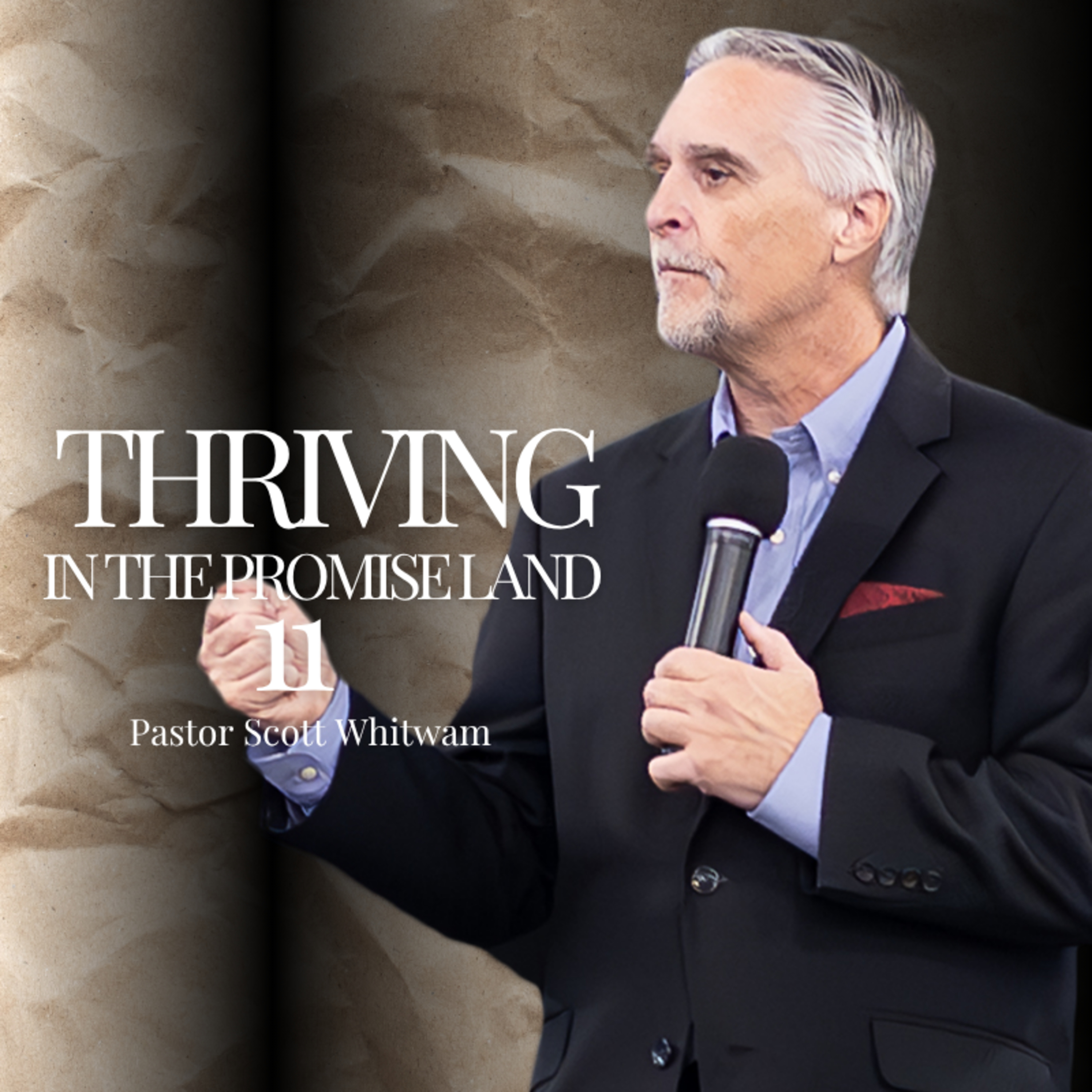 Thriving in the Promise Land Pt 11 episode artwork