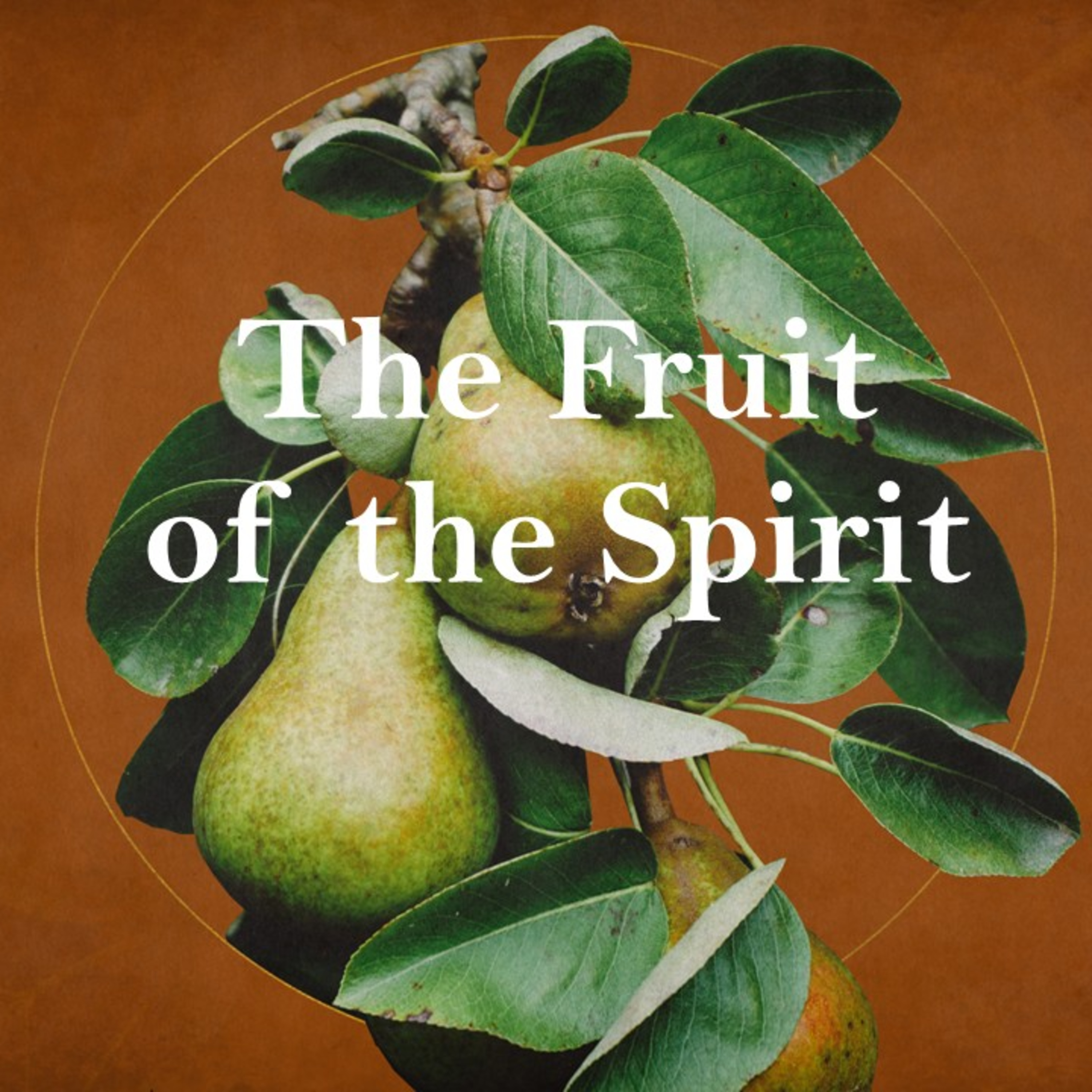 "Fruit of the Spirit, Kindness" pt 5 - Slate Moore