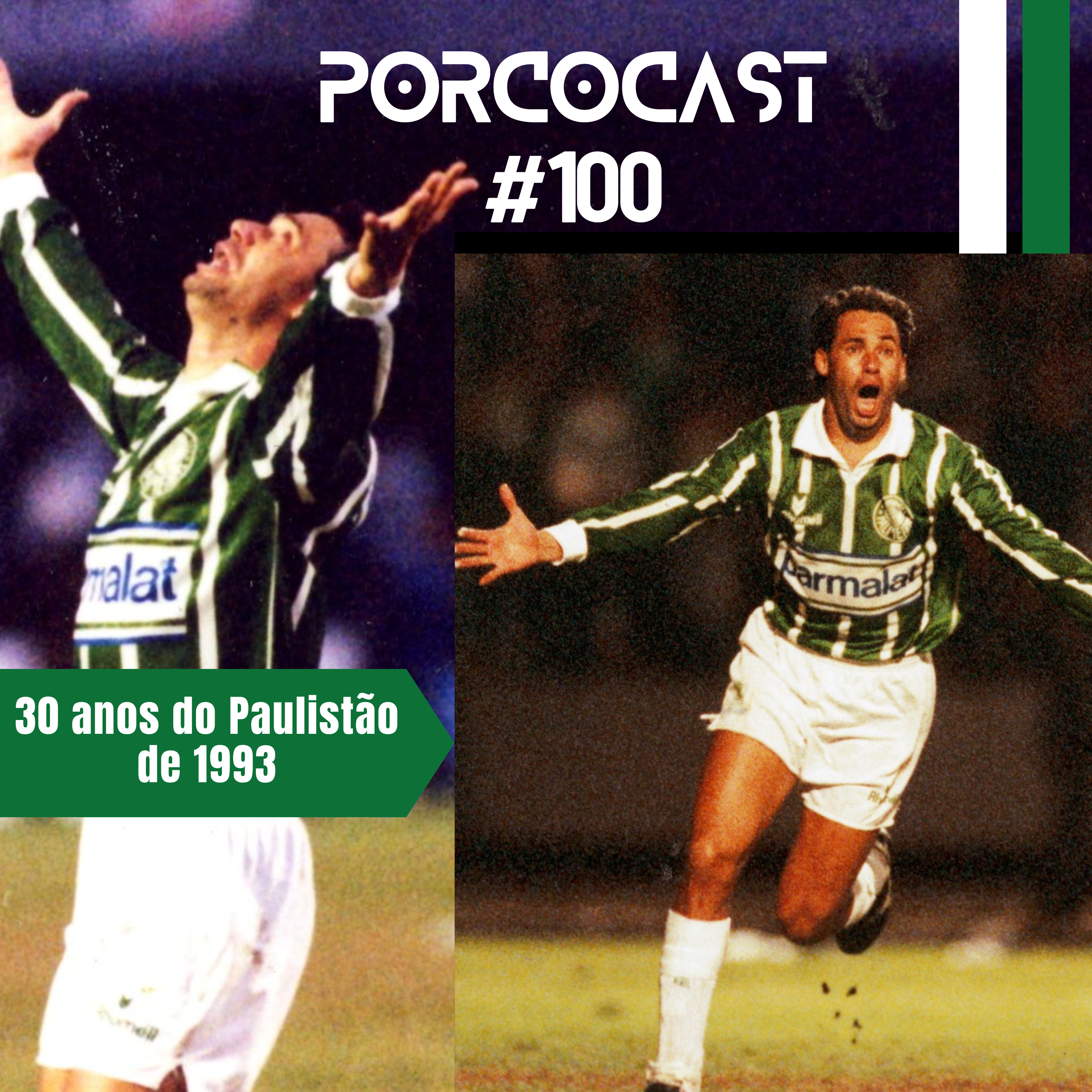 Porcocast #100- 30 anos do Palmeiras campeão Paulista de 1993 episode artwork