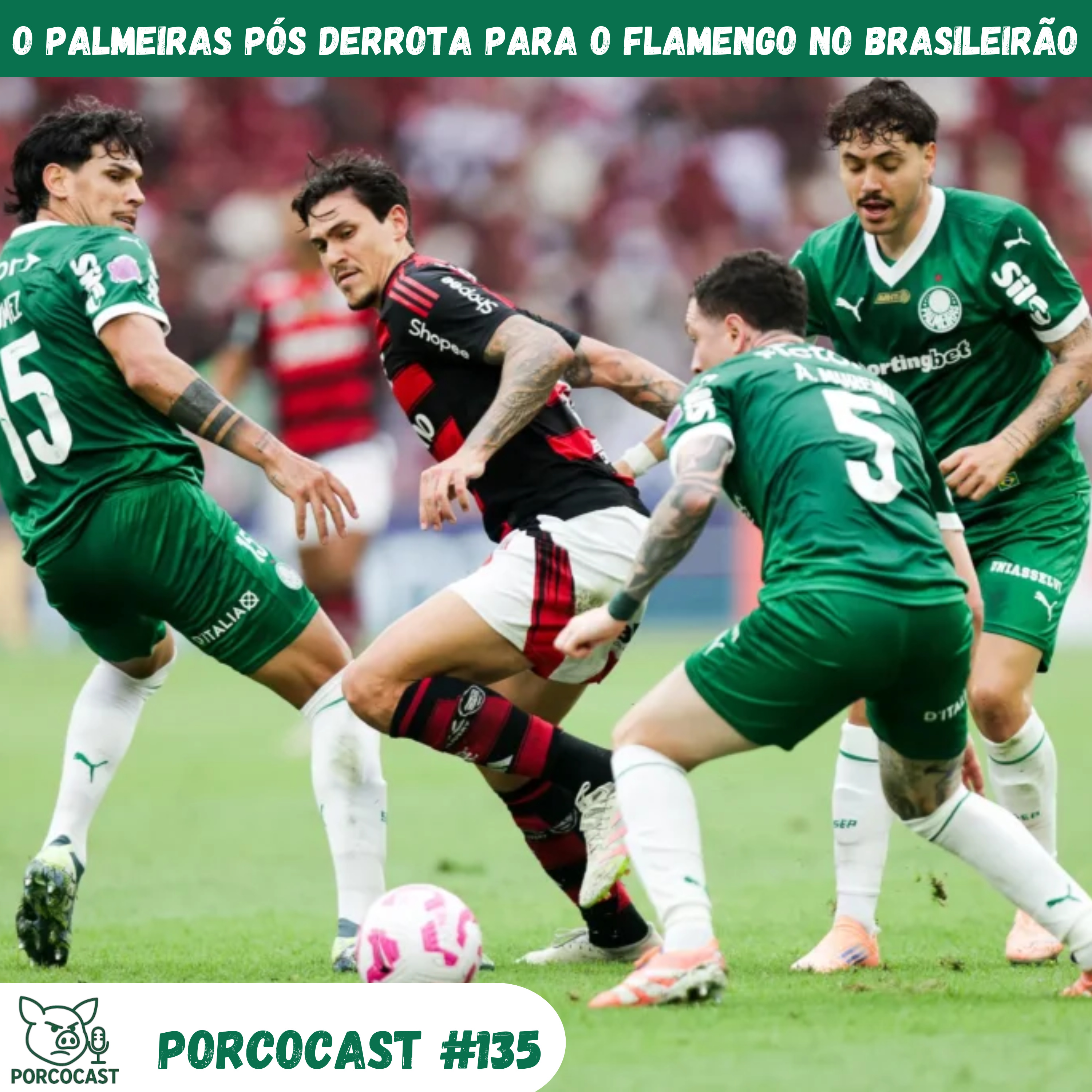Porcocast # 135 - O Palmeiras pós derrota para o Flamengo no Brasileirão episode artwork