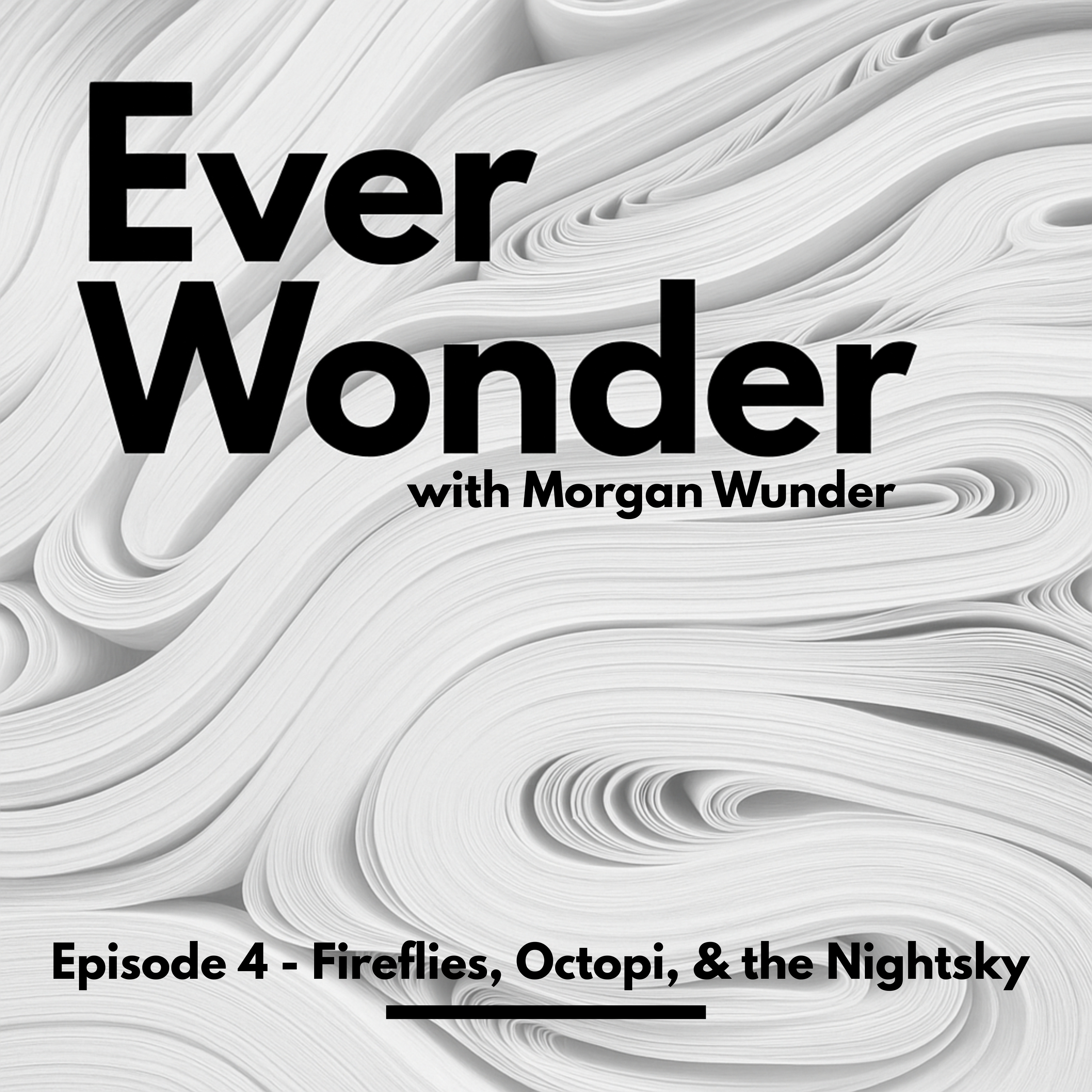 Fireflies, Octopi, & the Nightsky episode artwork