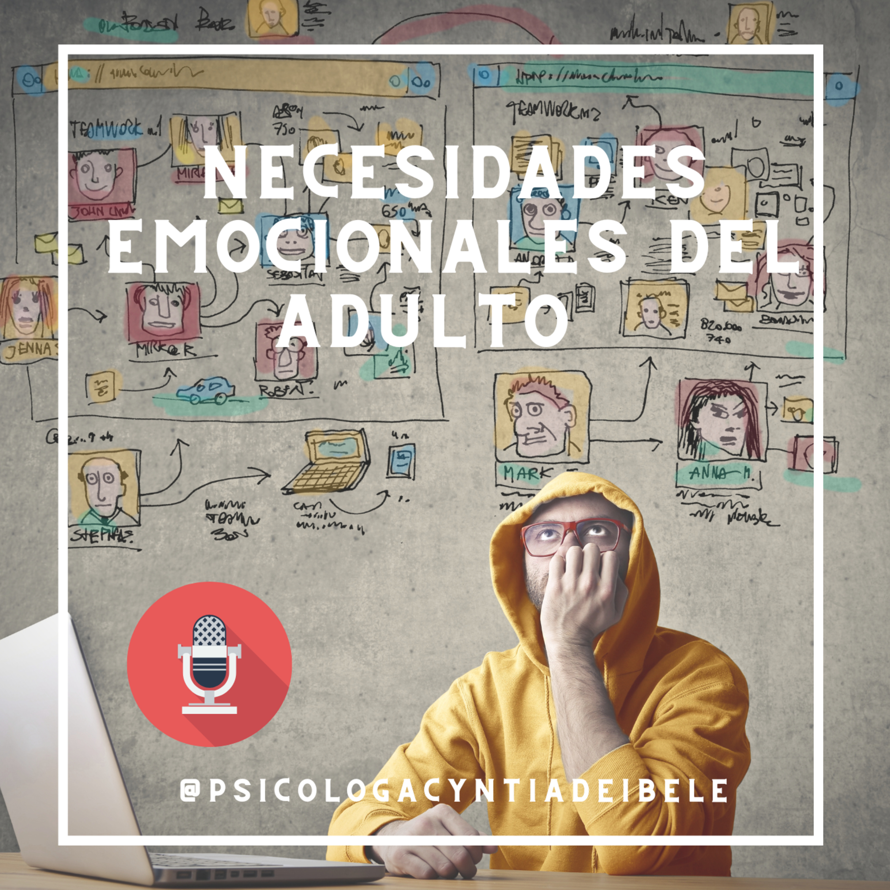 ¿Qué necesitamos Emocionalmente?