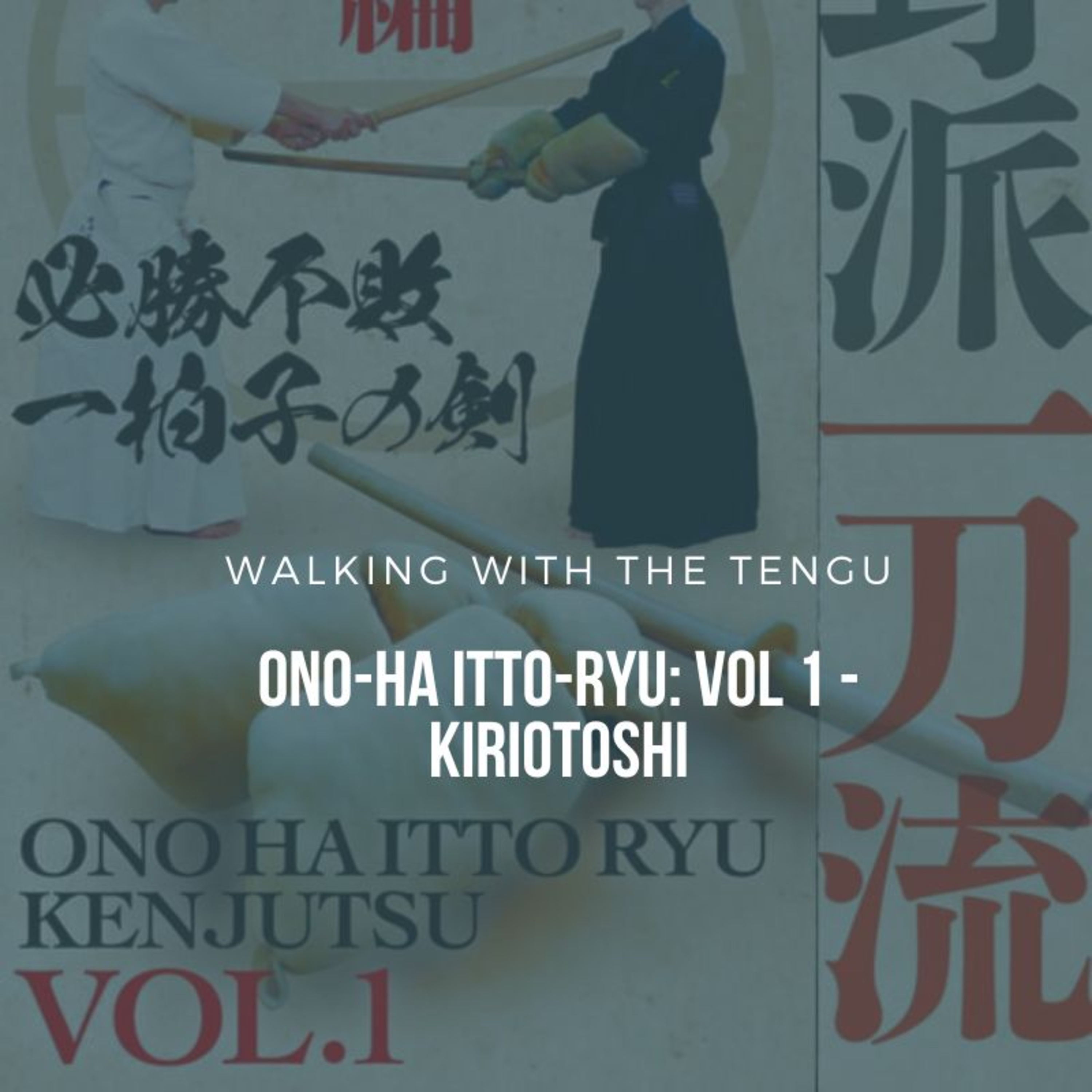 Ono-ha Itto-ryu Video: Volume 1 - Kiriotoshi
