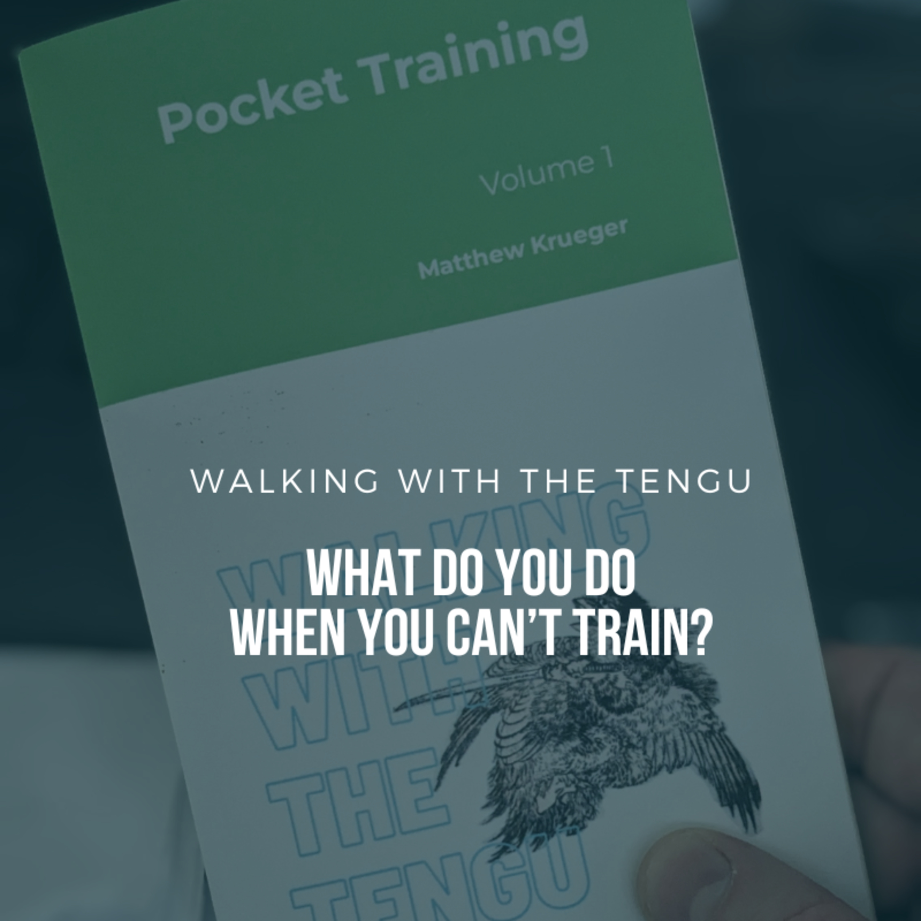 What Do You Do When You Can't Train?