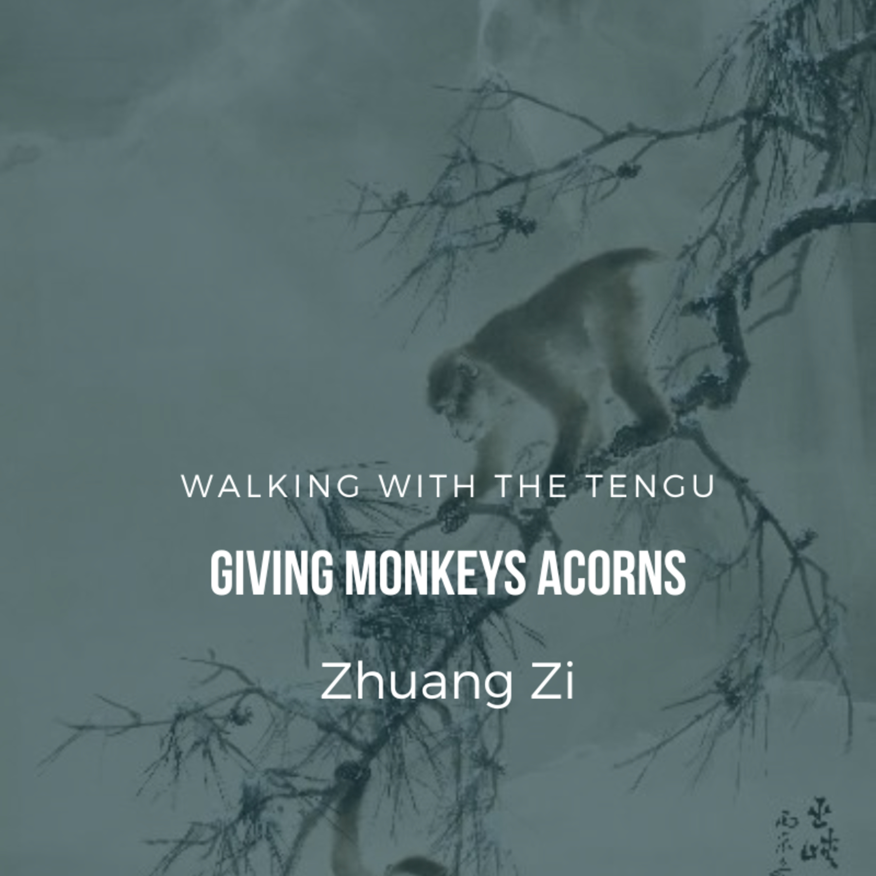 Zhuangzi: Giving Monkeys Acorns