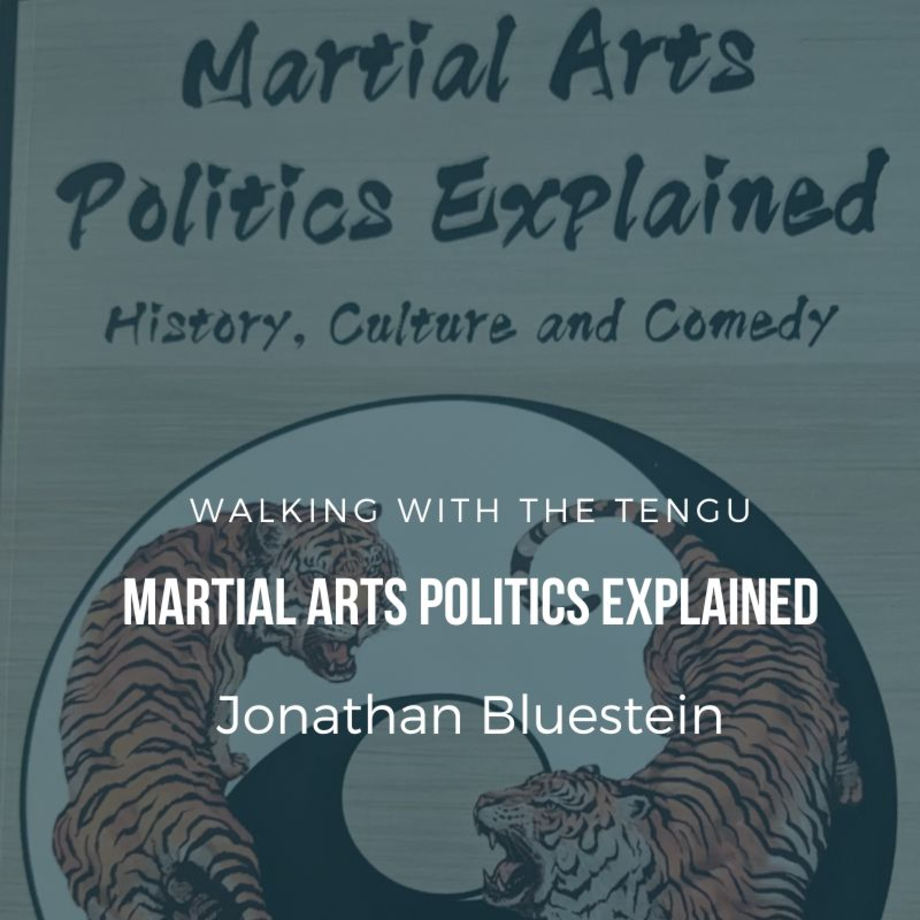 Martial Arts Politics Explained