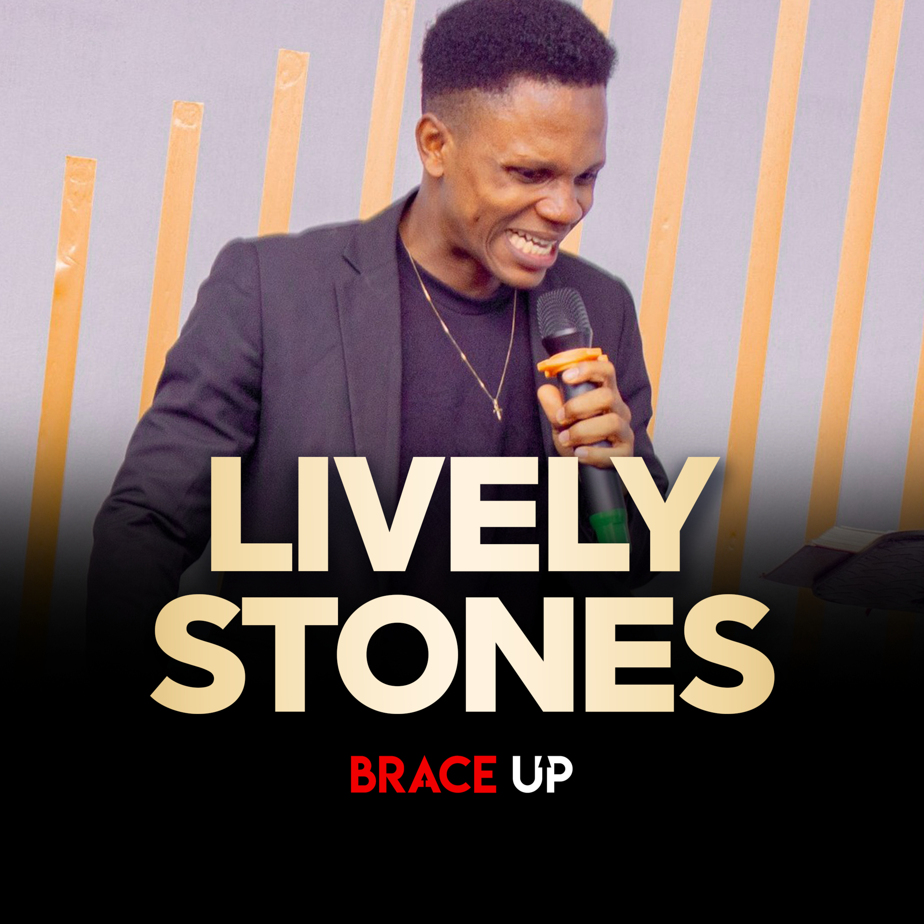 Lively Stones episode artwork