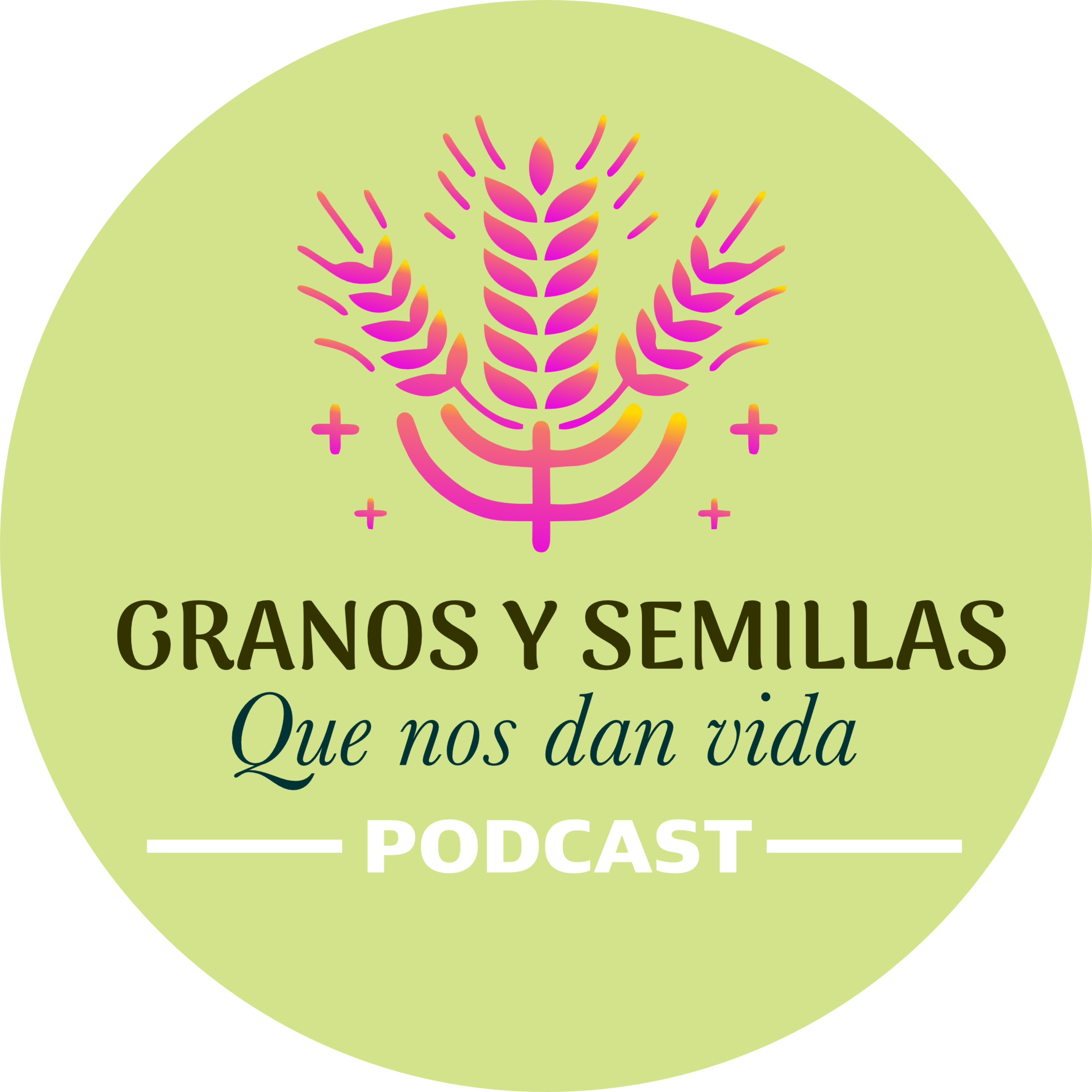 Granos y Semillas que Nos dan Vida - Garbanzo episode artwork