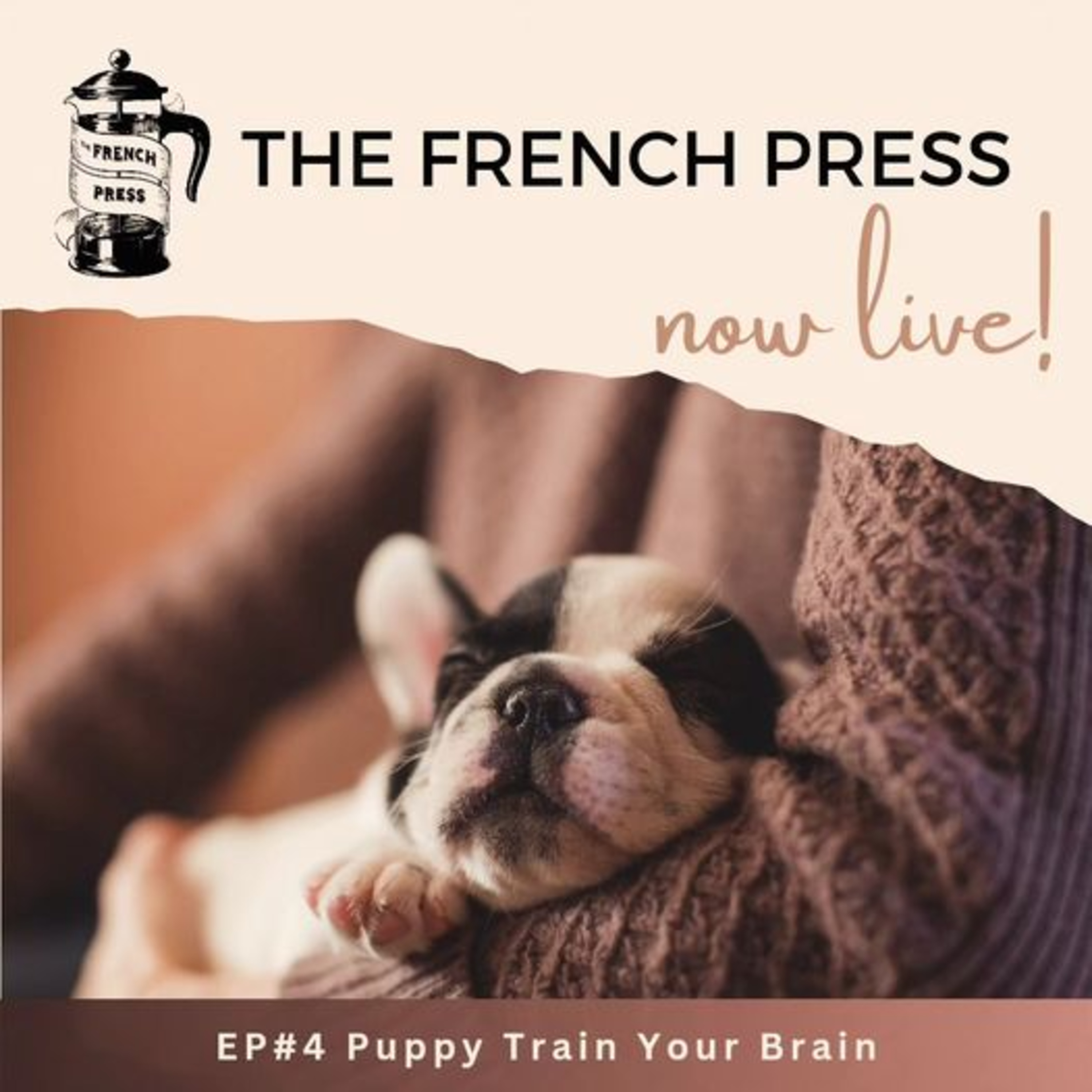 04 Puppy Train Your Brain: How to Deal with Negative Thinking  episode artwork