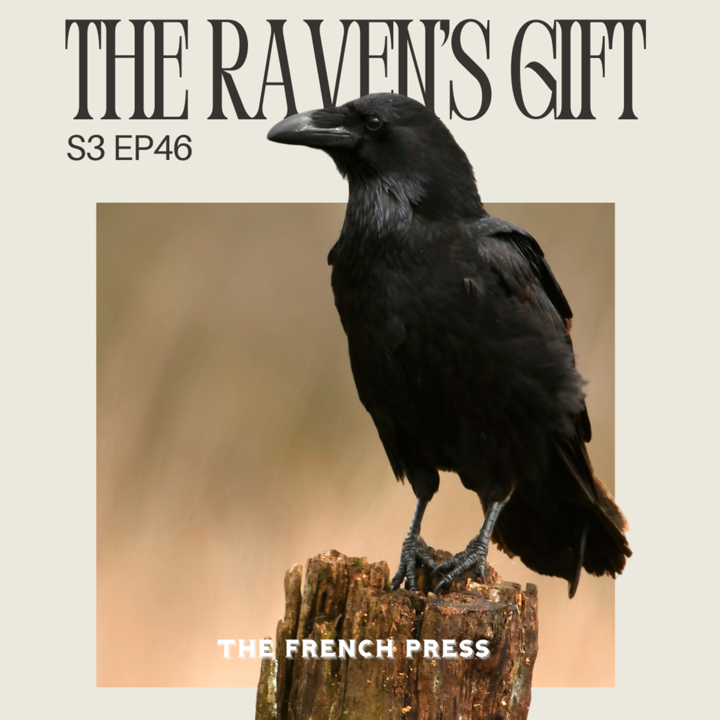 46 The Raven's Gift episode artwork