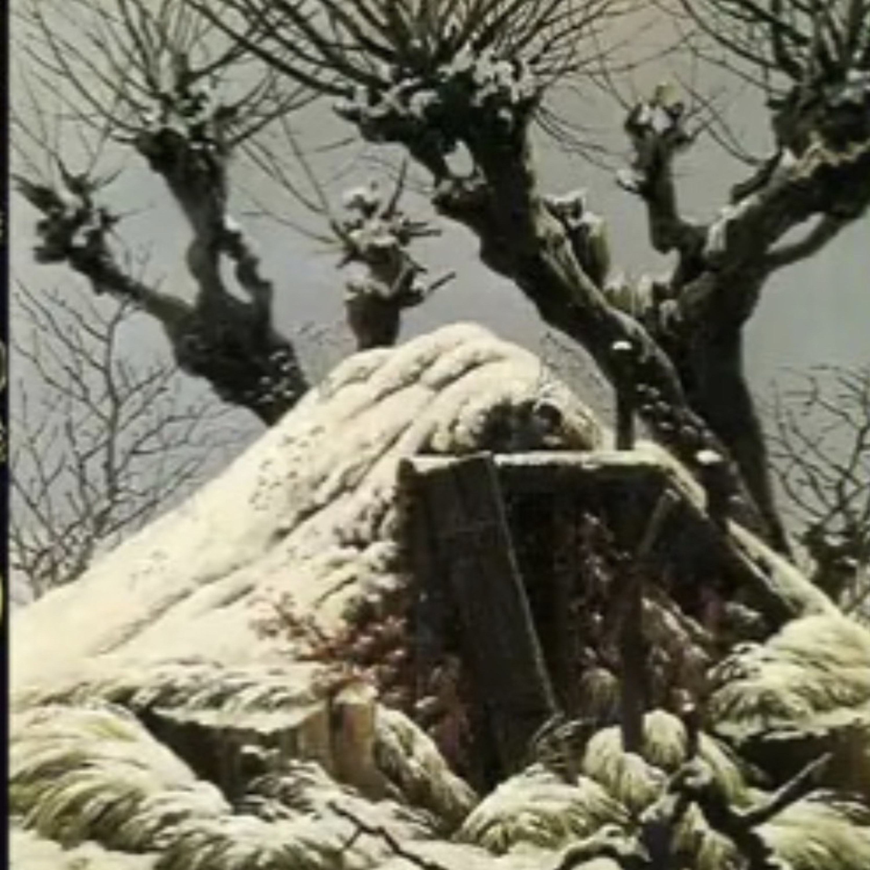 Merodeando entre libros.