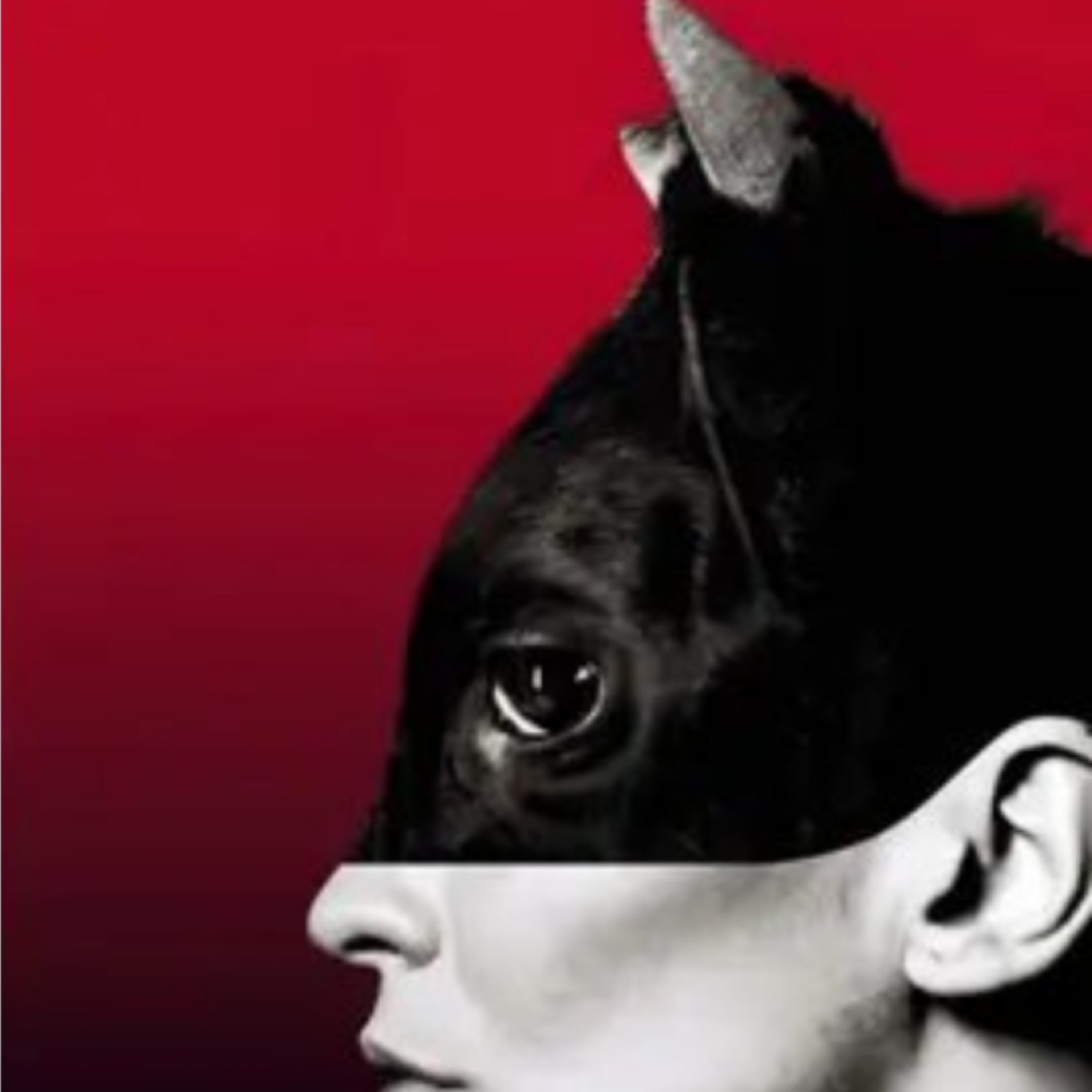 Cadáver exquisito, Agustina Bazterrica episode artwork