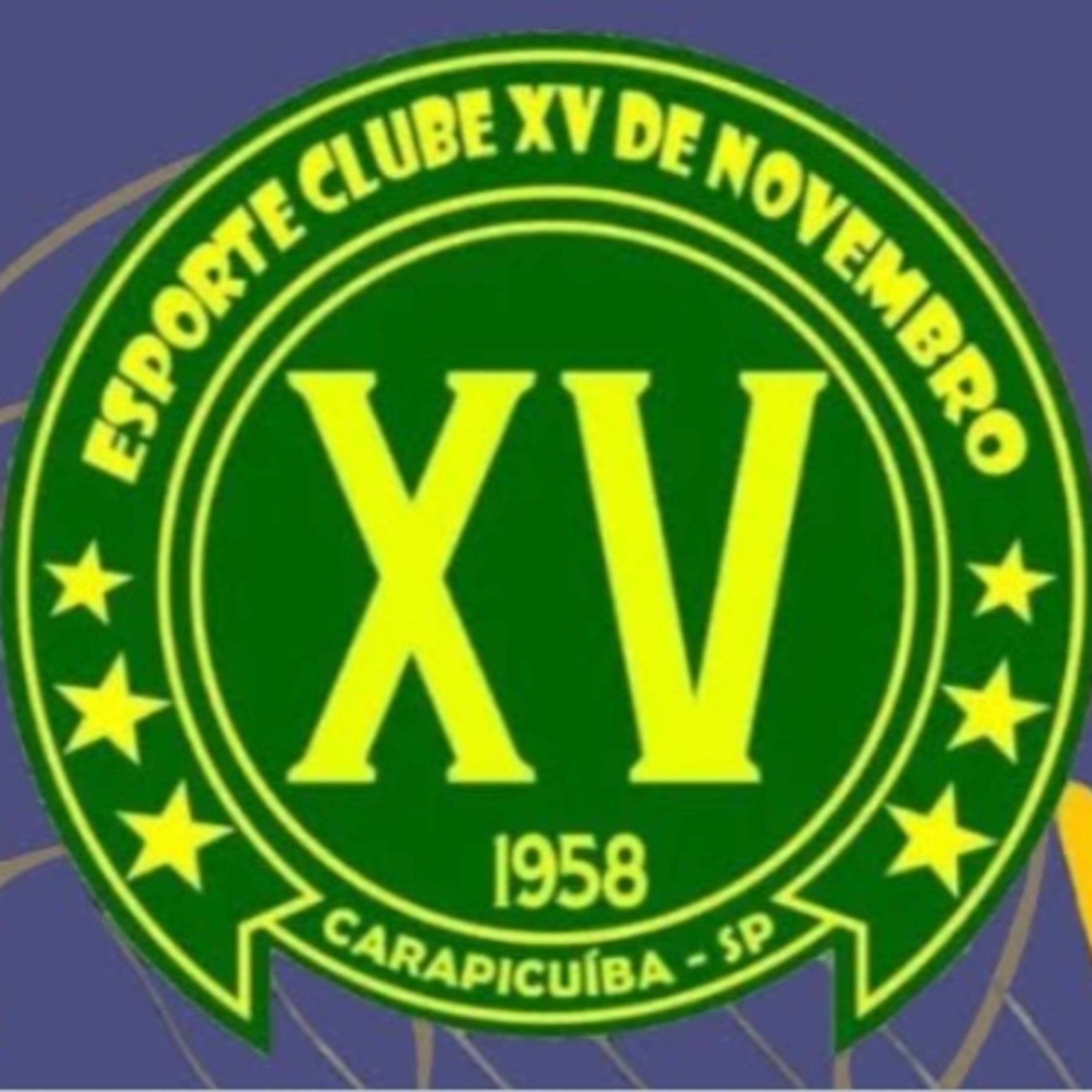 Resenha Fora da Curva