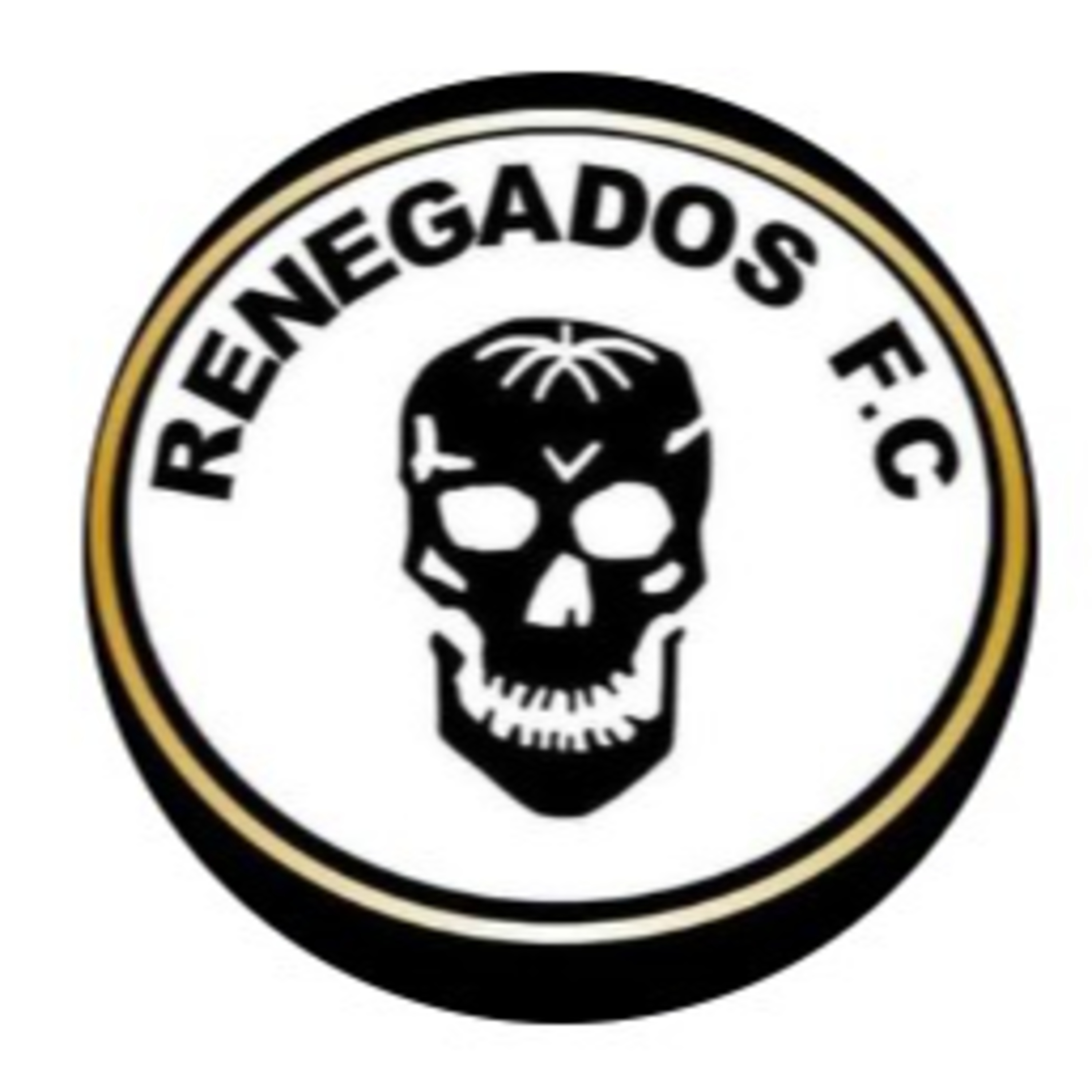 Resenha Fora da Curva