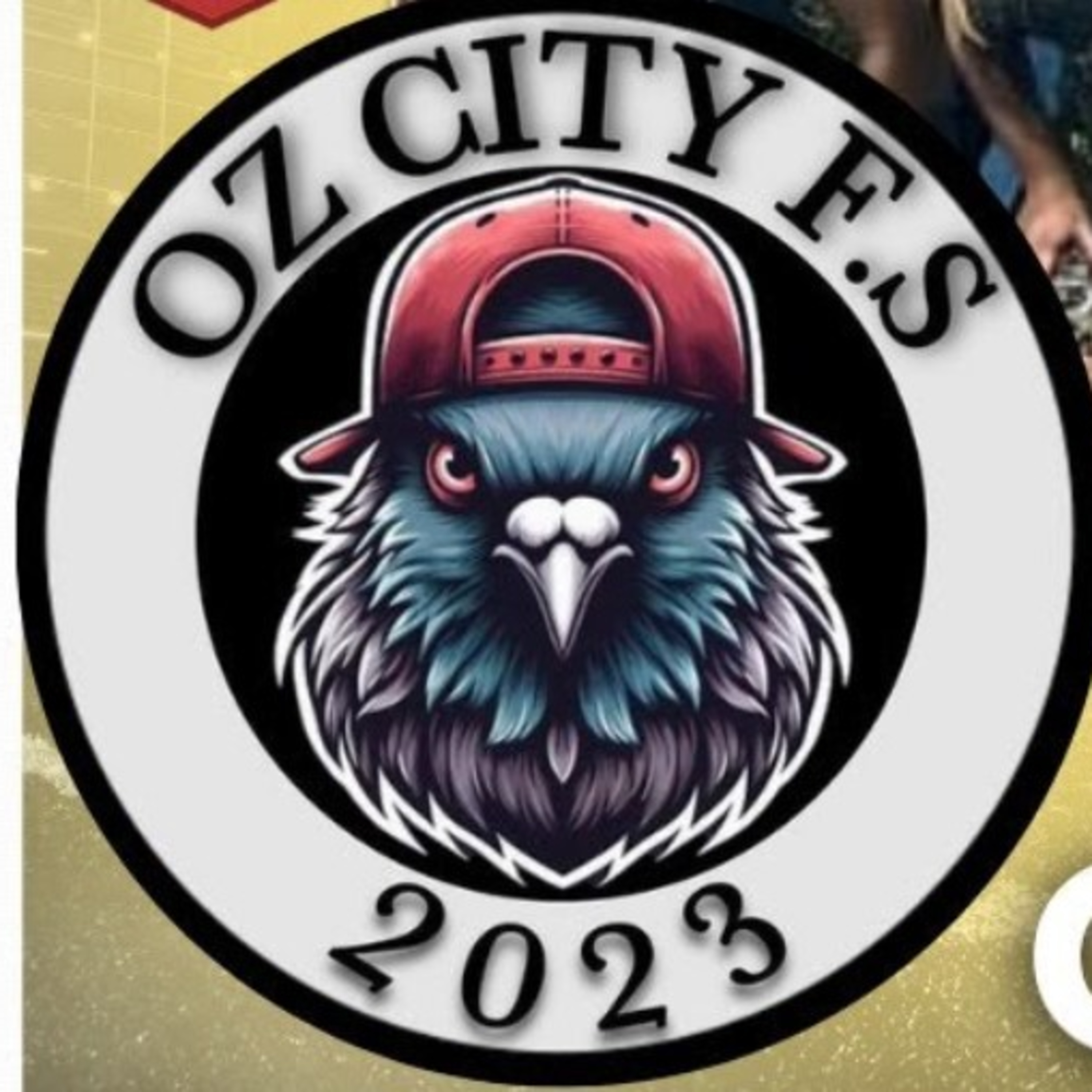 Resenha Fora da Curva