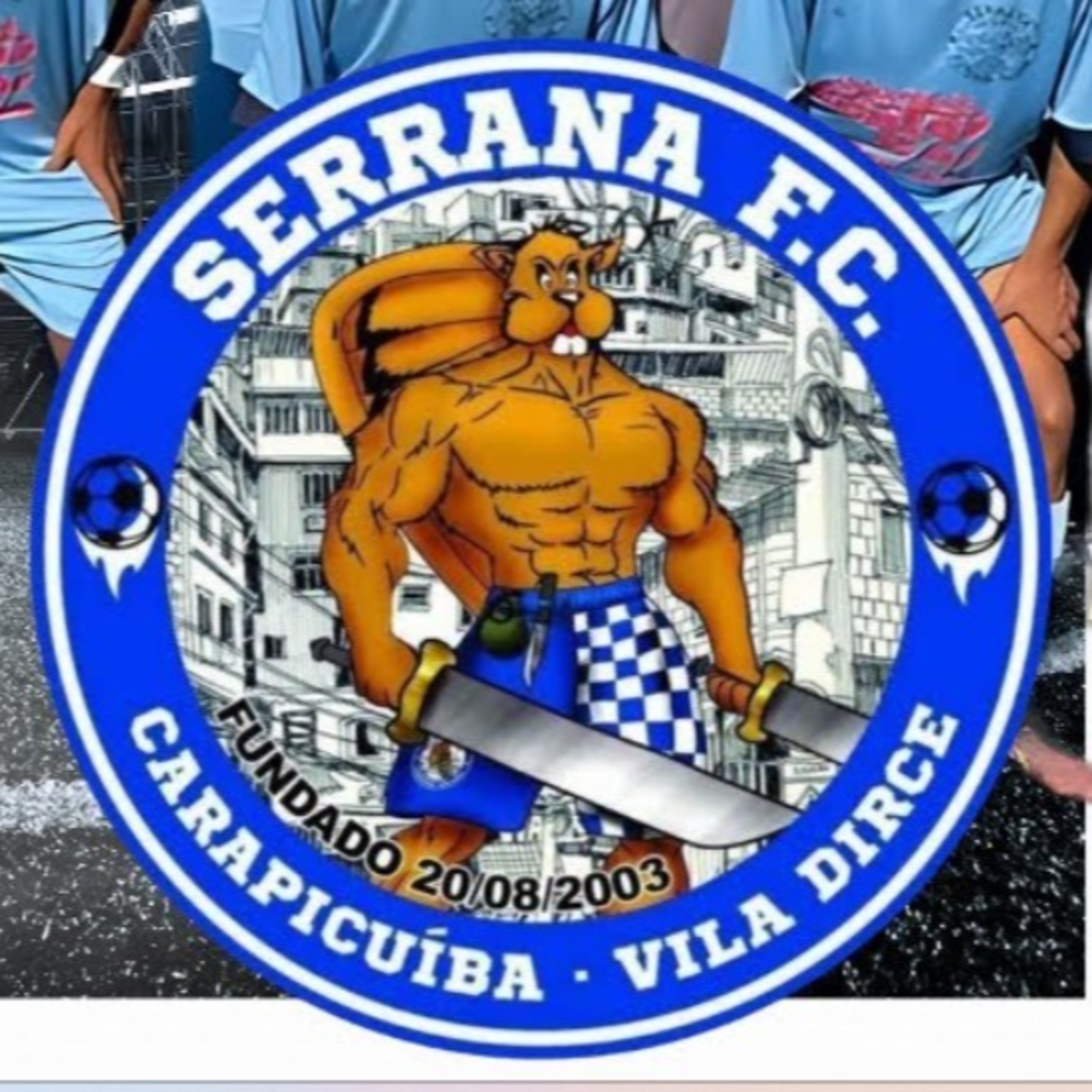 Resenha Fora da Curva