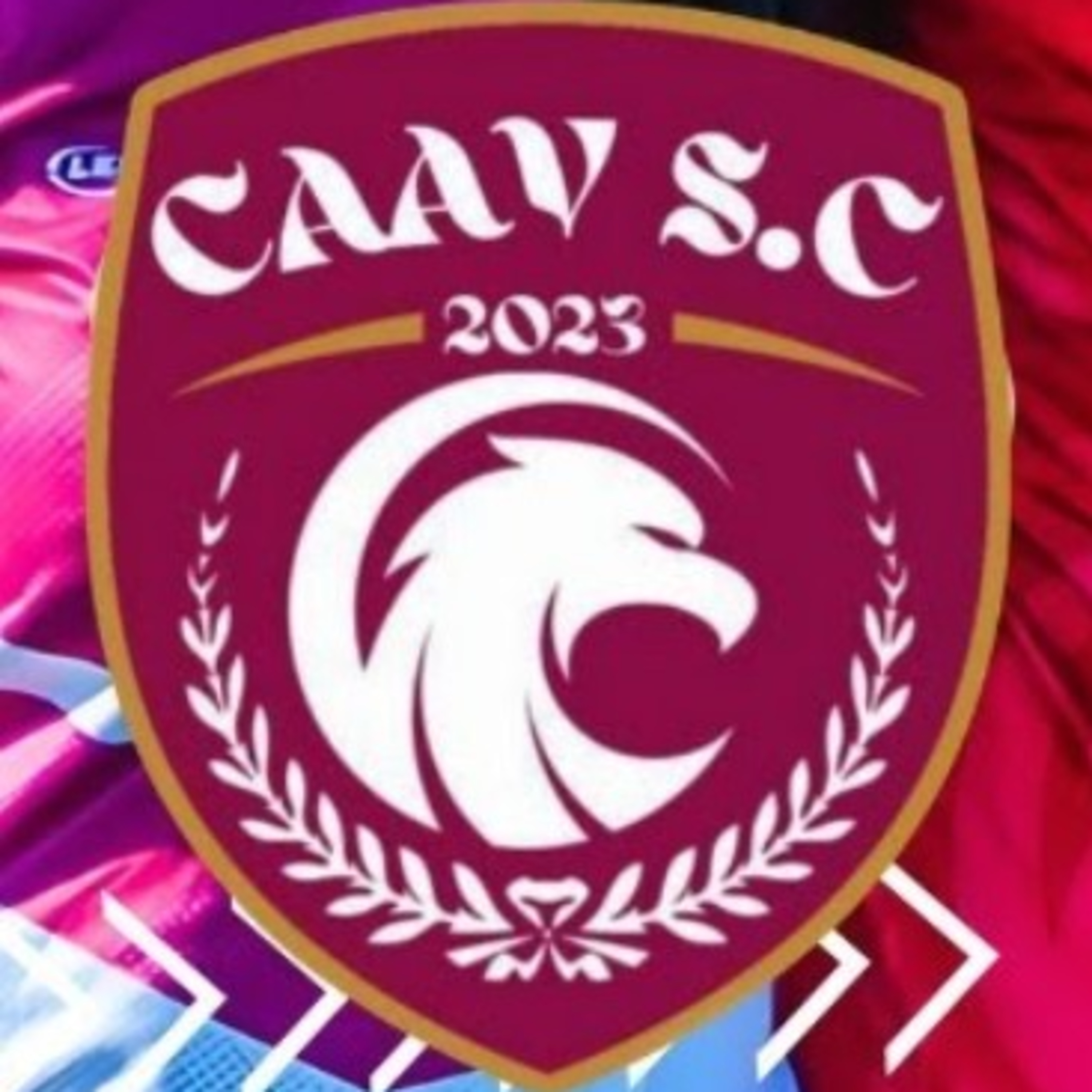 Resenha Fora da Curva