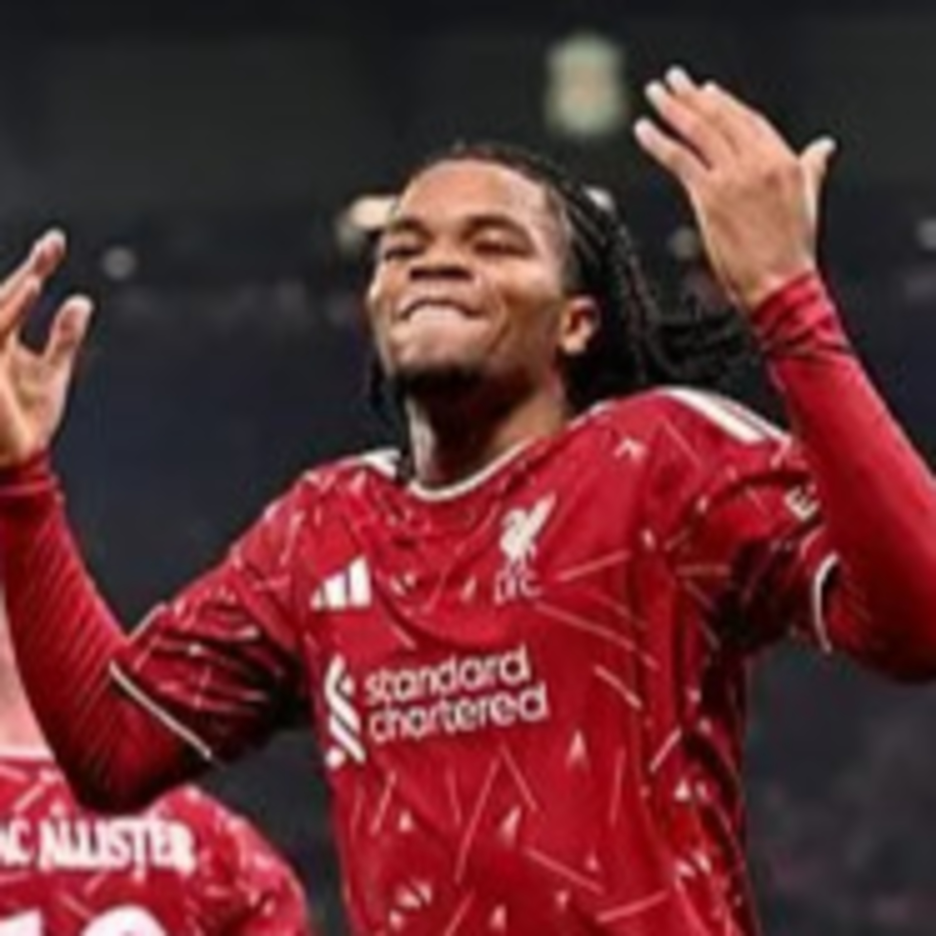 Rio the Hero!