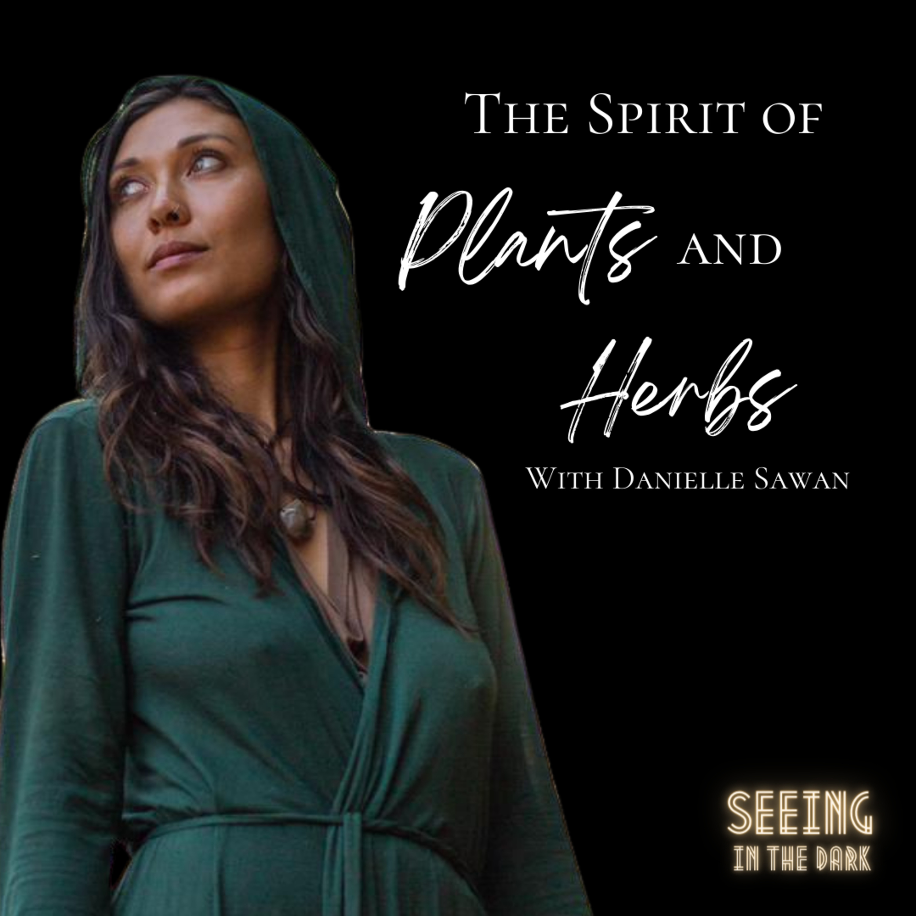 Seeing in the Dark Podcast