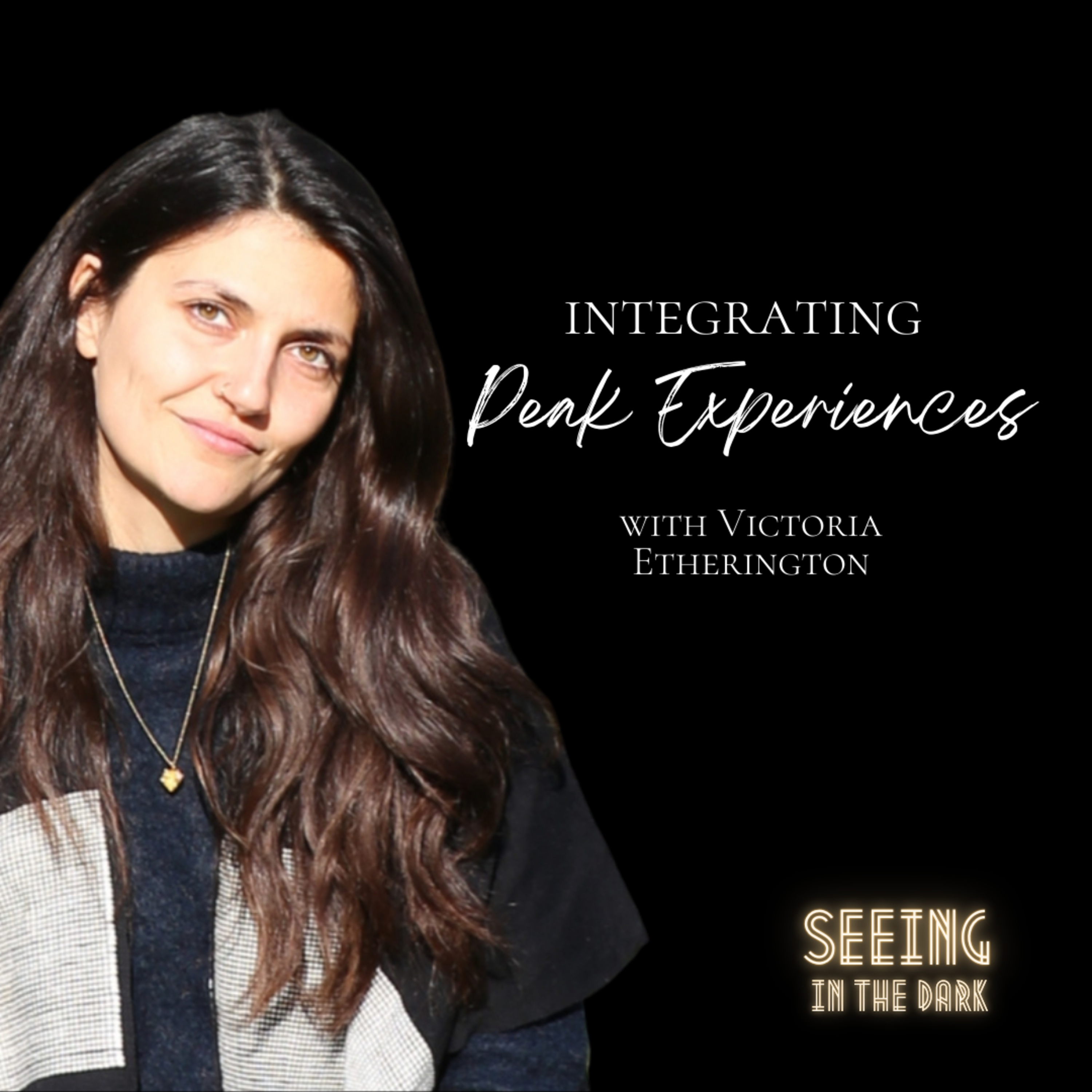 Seeing in the Dark Podcast