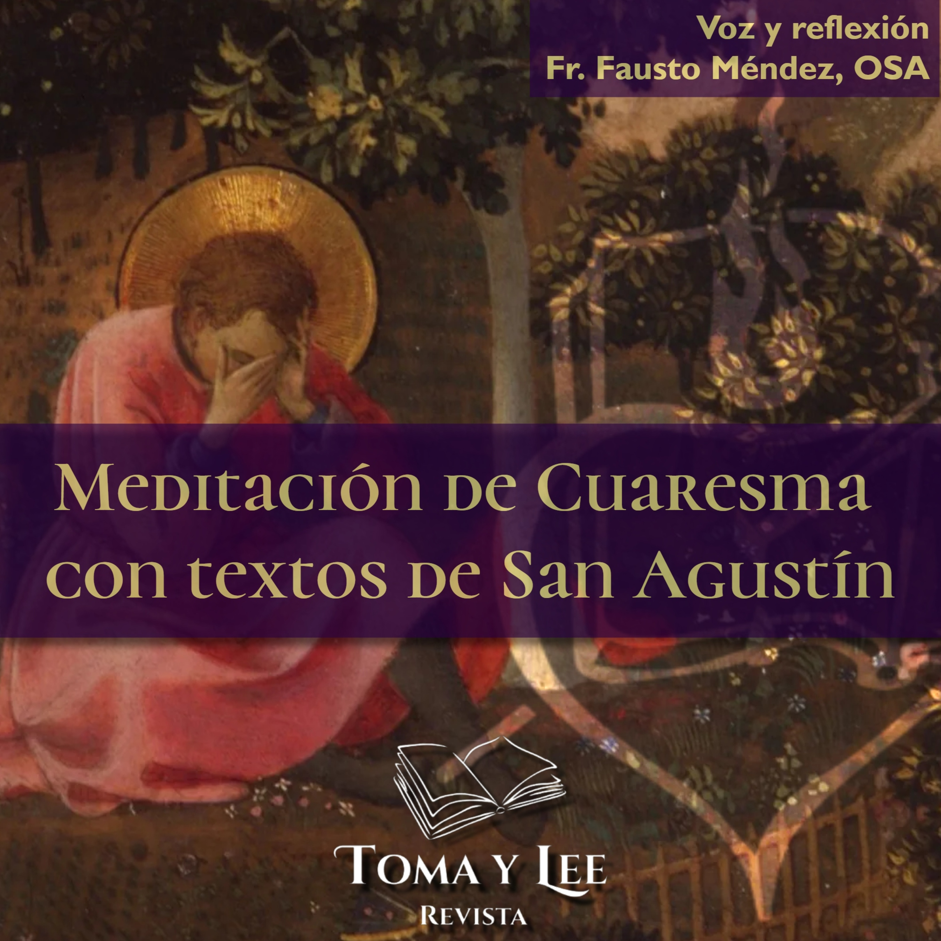 Viernes V de Cuaresma, Meditación de Cuaresma con textos de San Agustín episode artwork