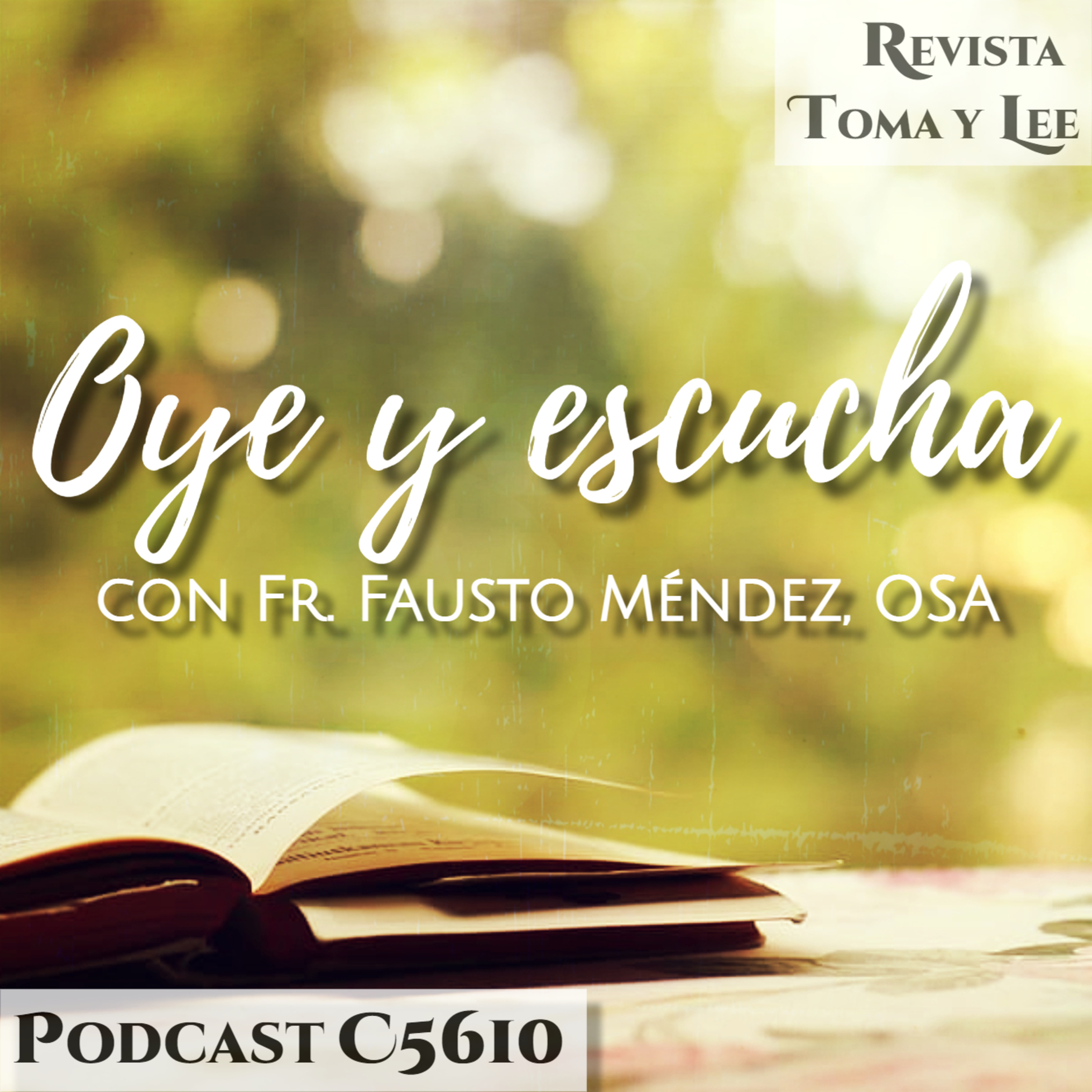 Oye y escucha, Nochevieja 2025 episode artwork