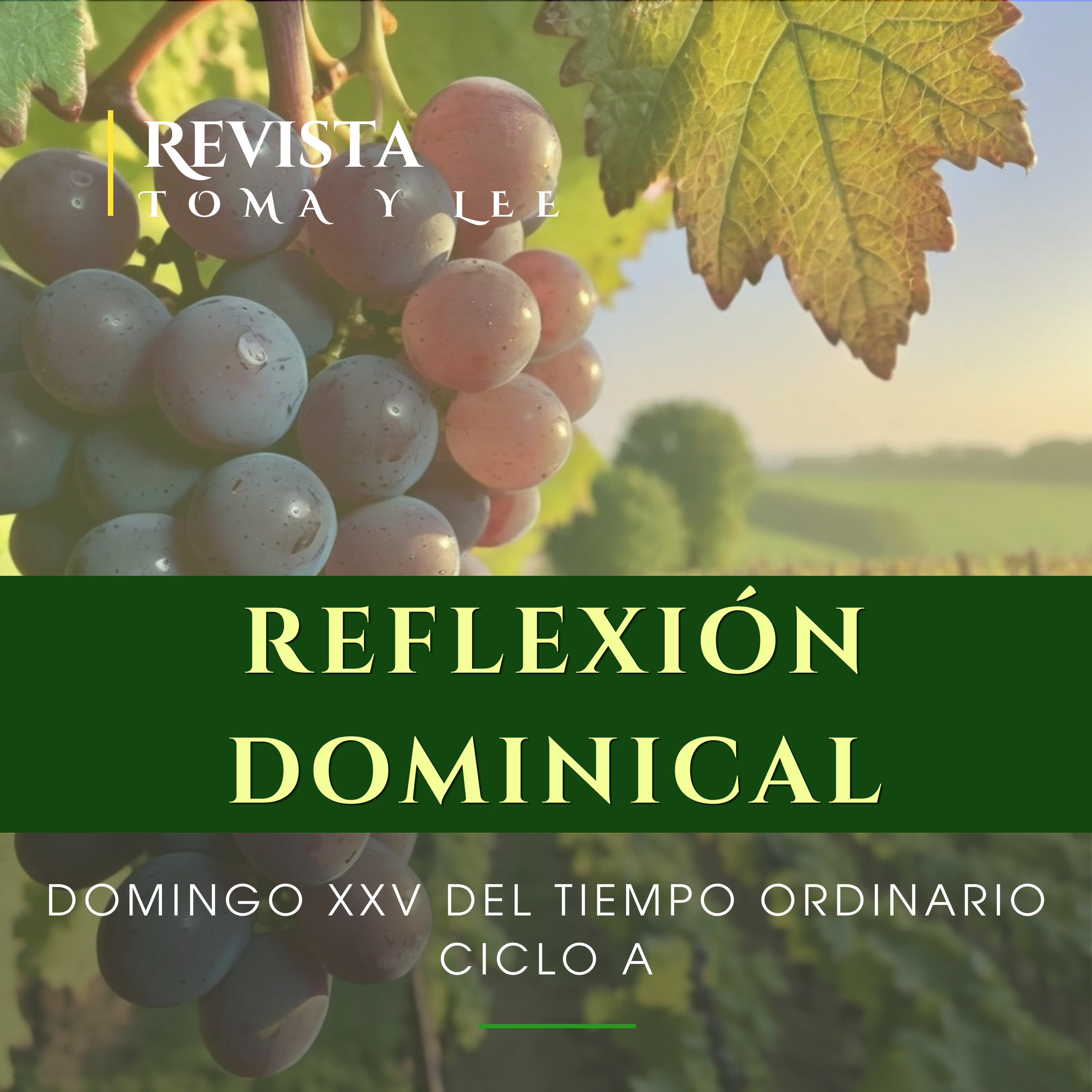 Portada de Revista Toma y Lee