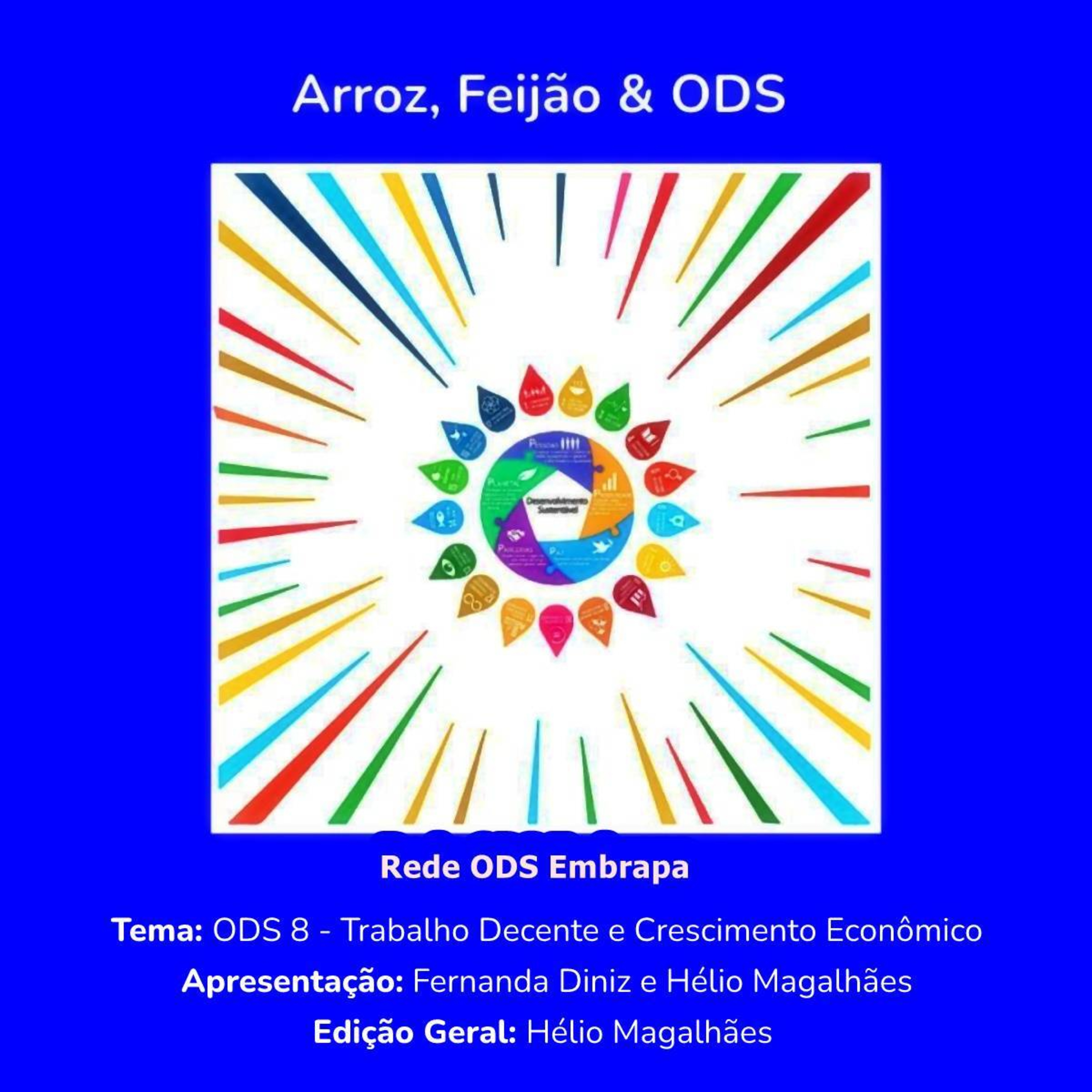  # ODS 8 - Trabalho Decente e Crescimento Econômico episode artwork