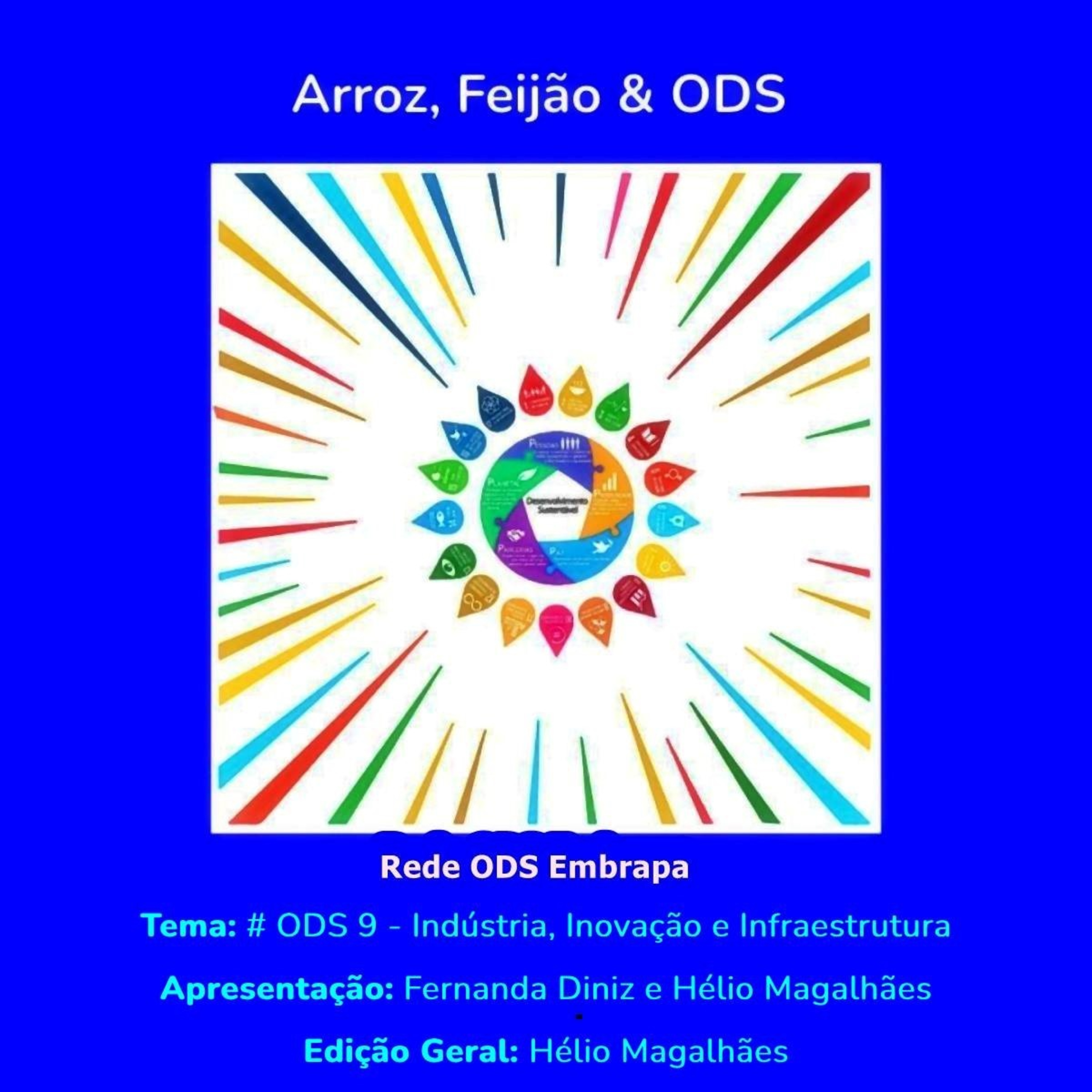 # ODS 9 - Indústria, Inovação e Infraestrutura episode artwork