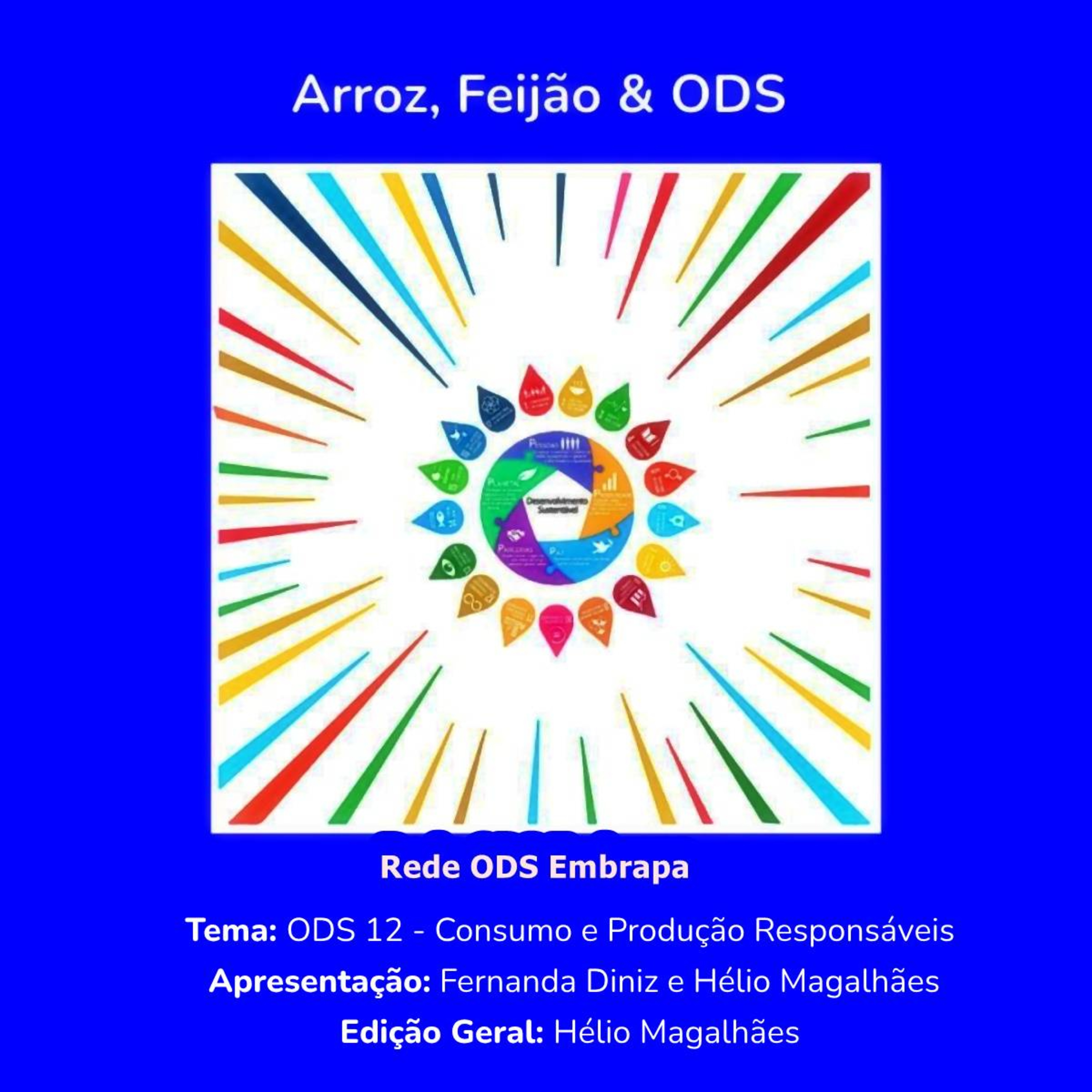 # ODS 12 - Consumo e Produção Responsáveis episode artwork