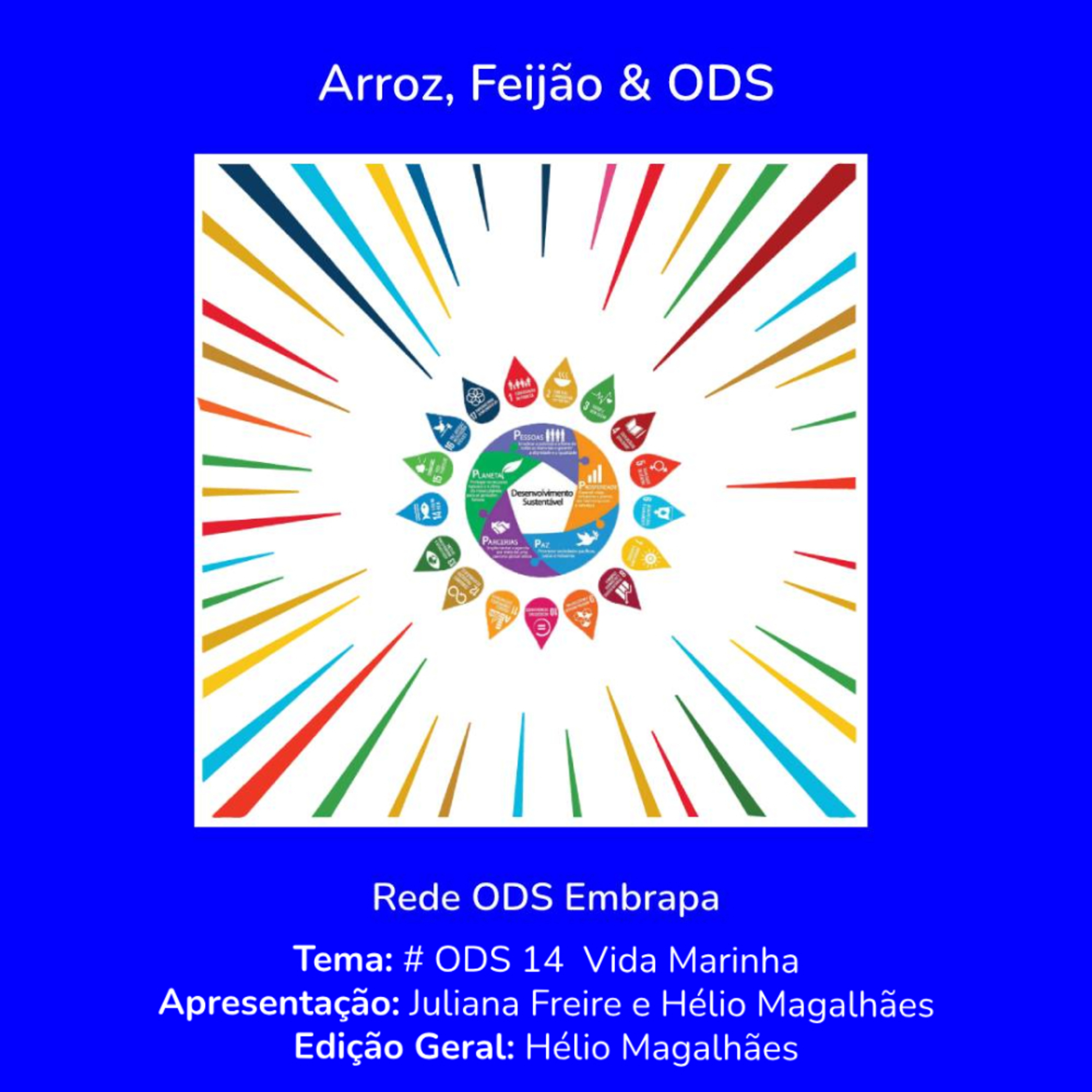 # ODS 14 - Proteger a Vida Marinha episode artwork