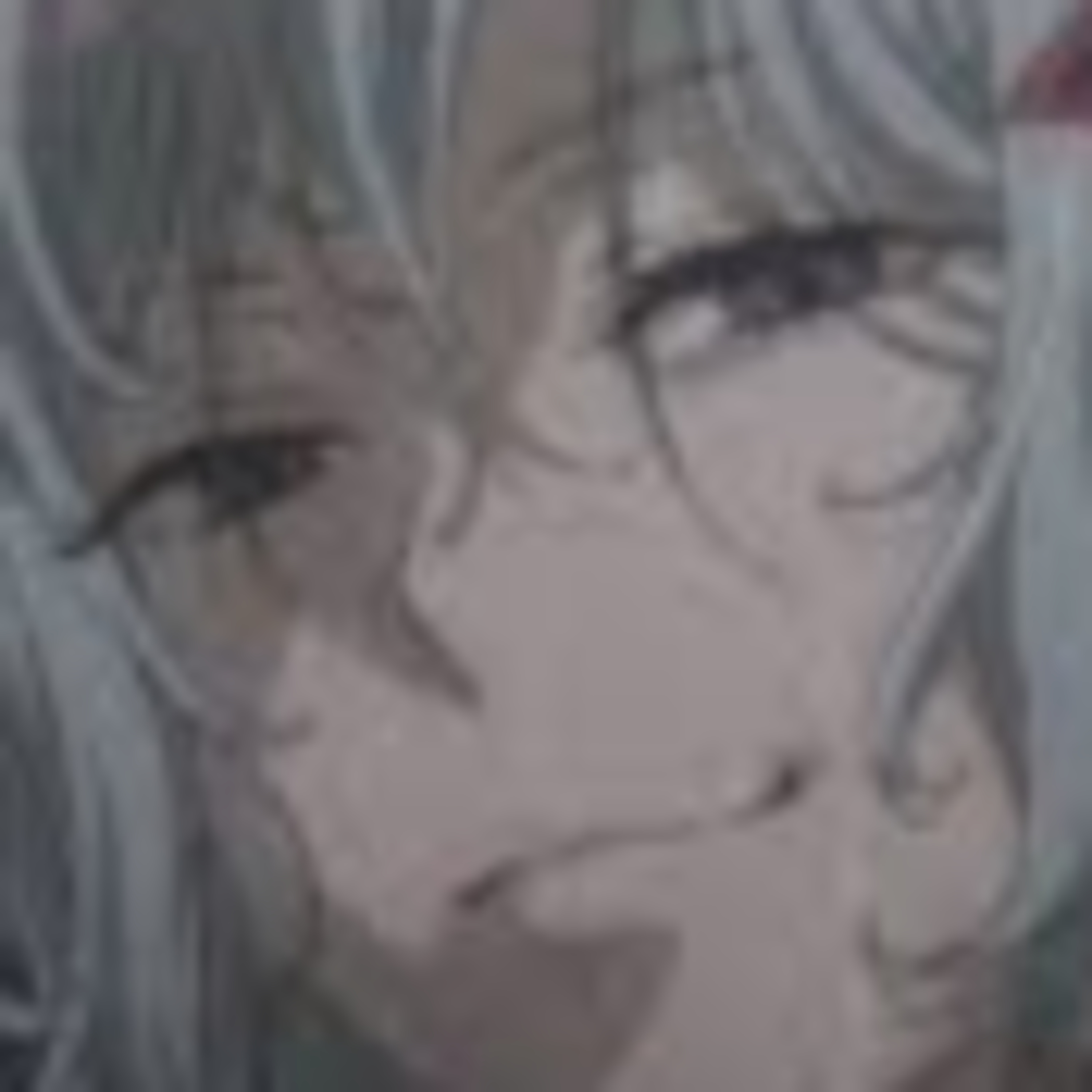 Is It Wrong to Pickup Another Season About a Dungeon? DanMachi Season 5 Fancast: 1-6 episode artwork