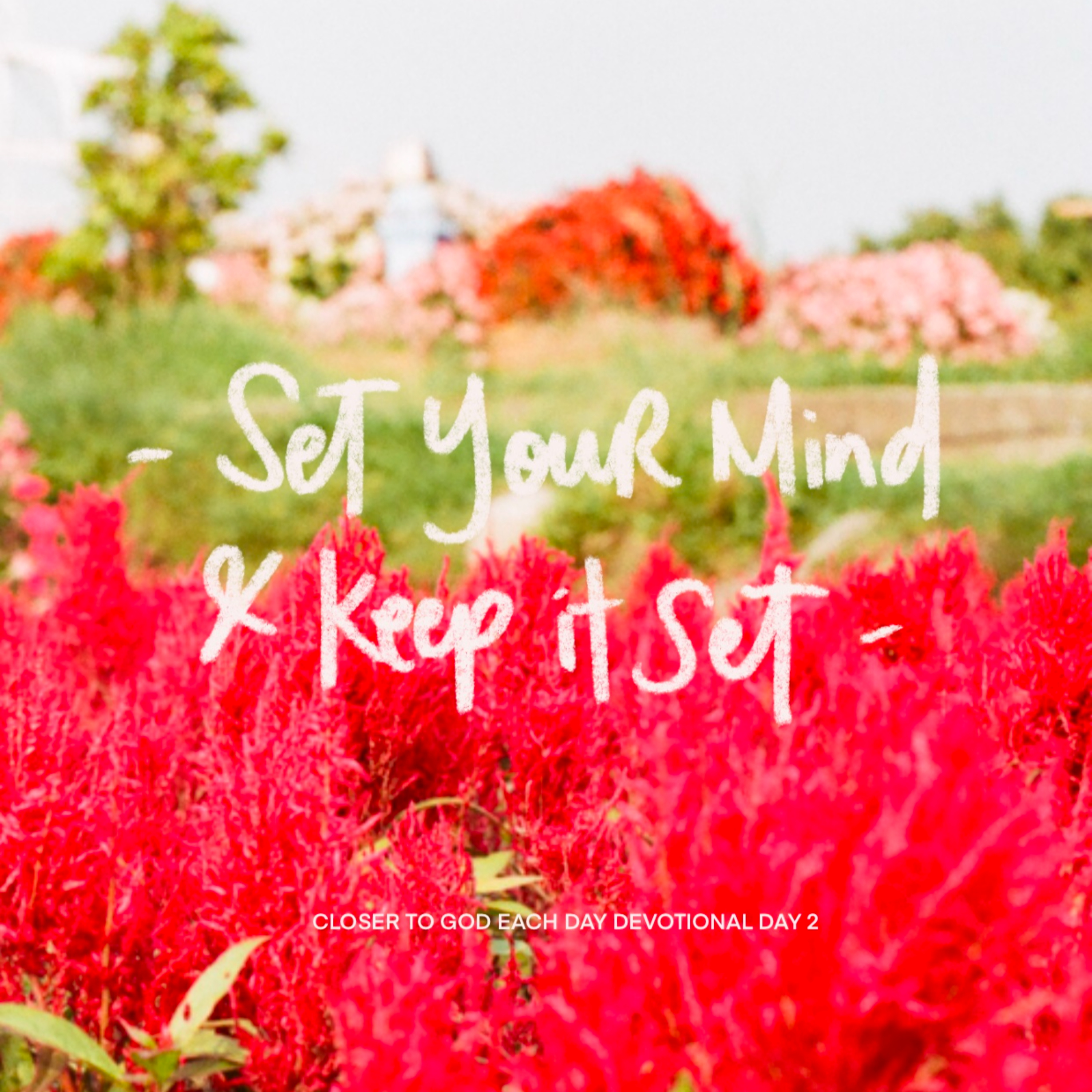 Set Your Mind and Keep it Set episode artwork