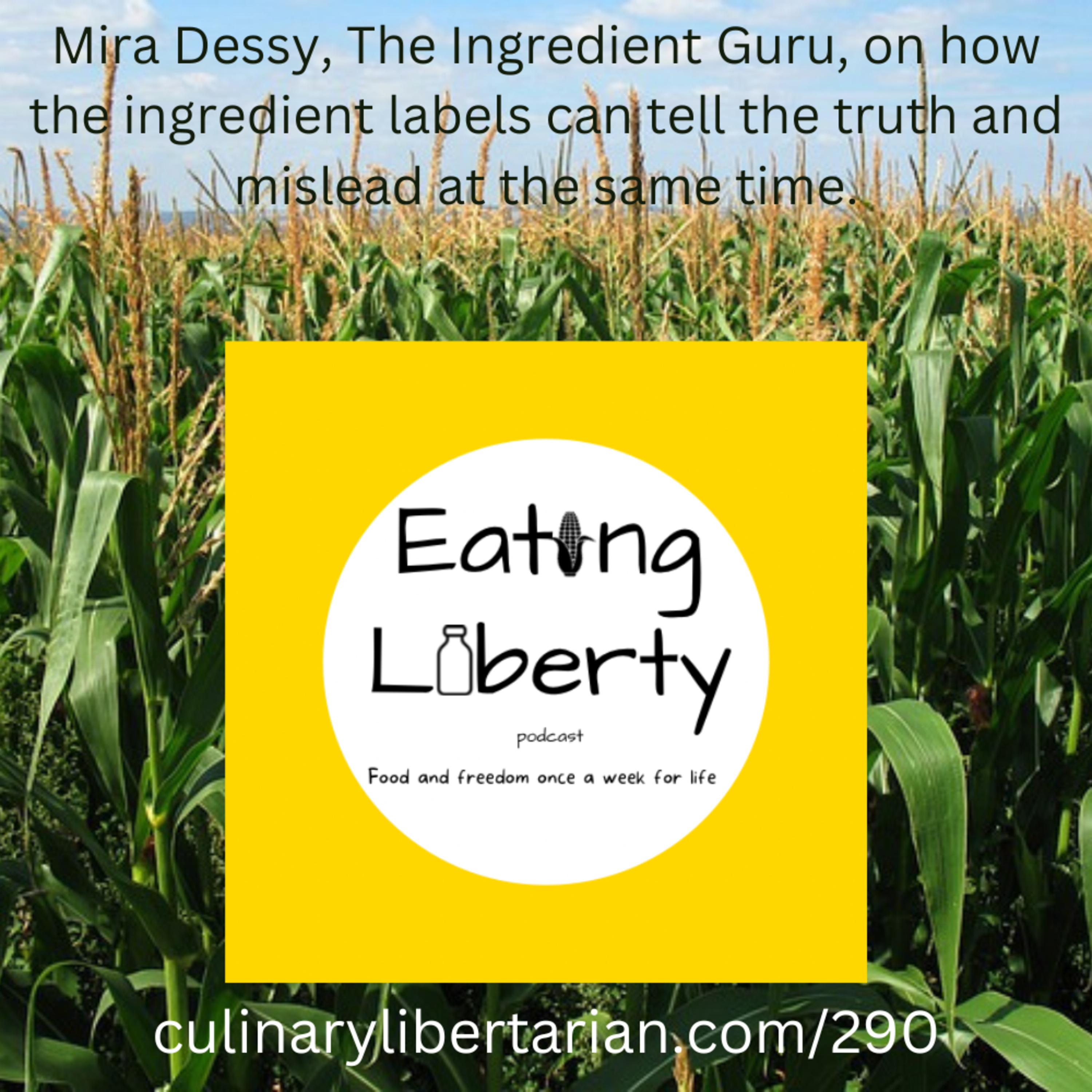 Ep 290 Mira Dessy, The Ingredient Guru discussed what 5 ingredients to reject