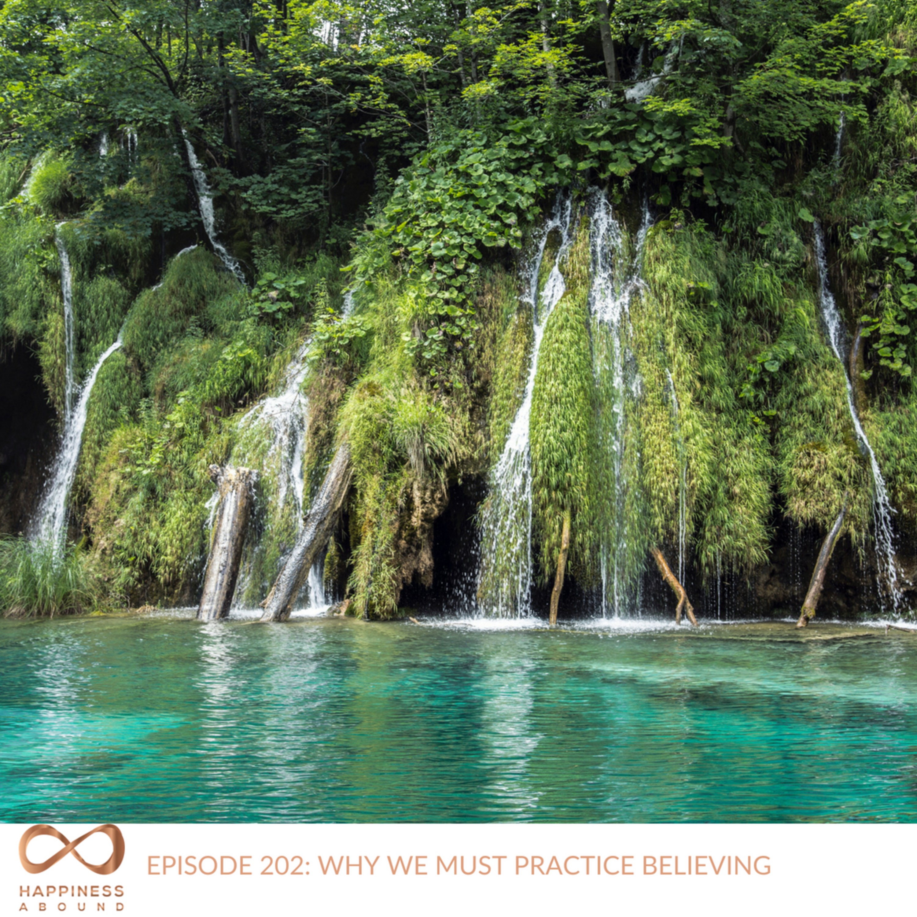 #202: WHY WE MUST PRACTICE BELIEVING episode artwork