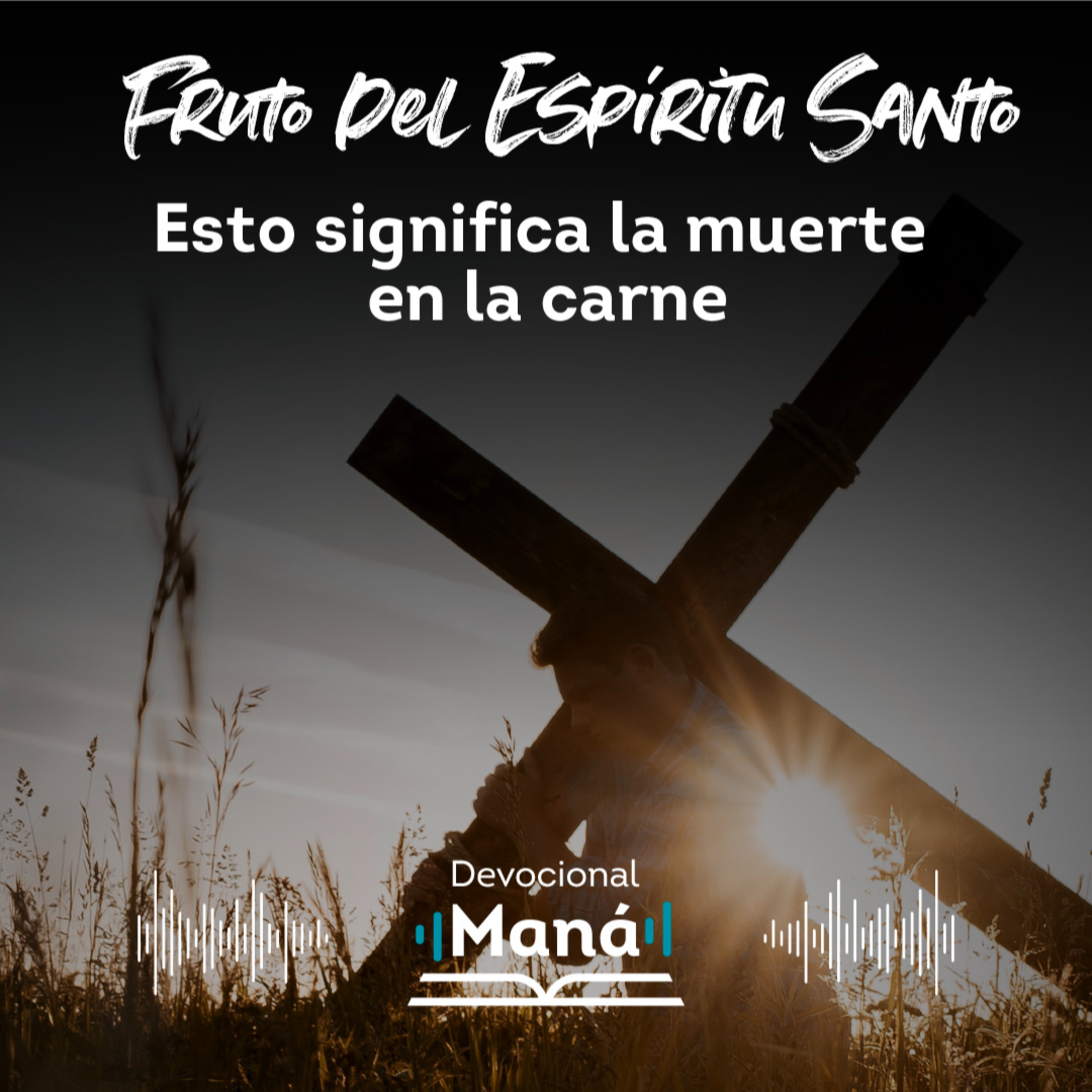 Devocional│La Muerte De La Carne Es La Vida Del Espíritu episode artwork