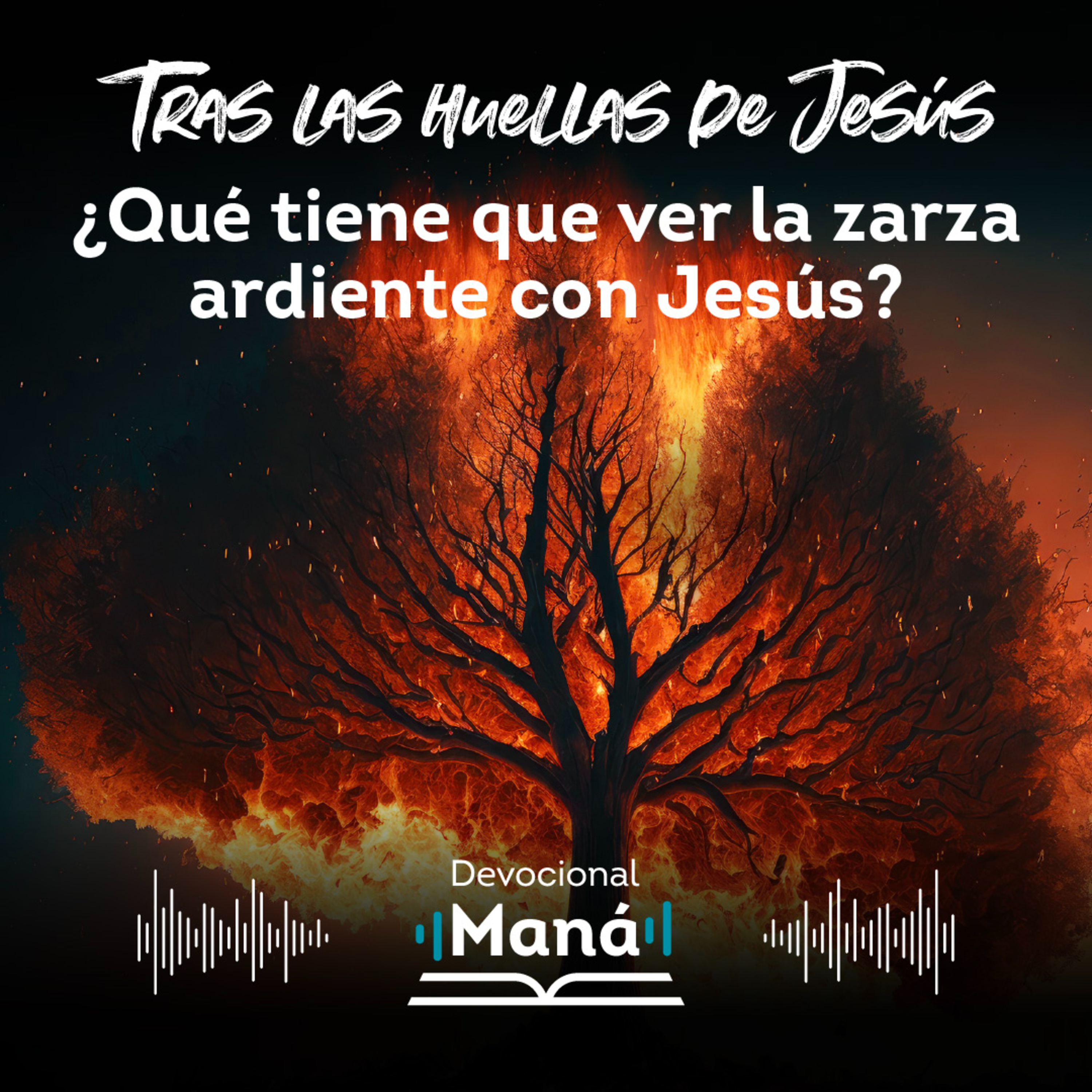 Devocional │¿Qué Tiene que Ver la Zarza Ardiente con Jesús? episode artwork