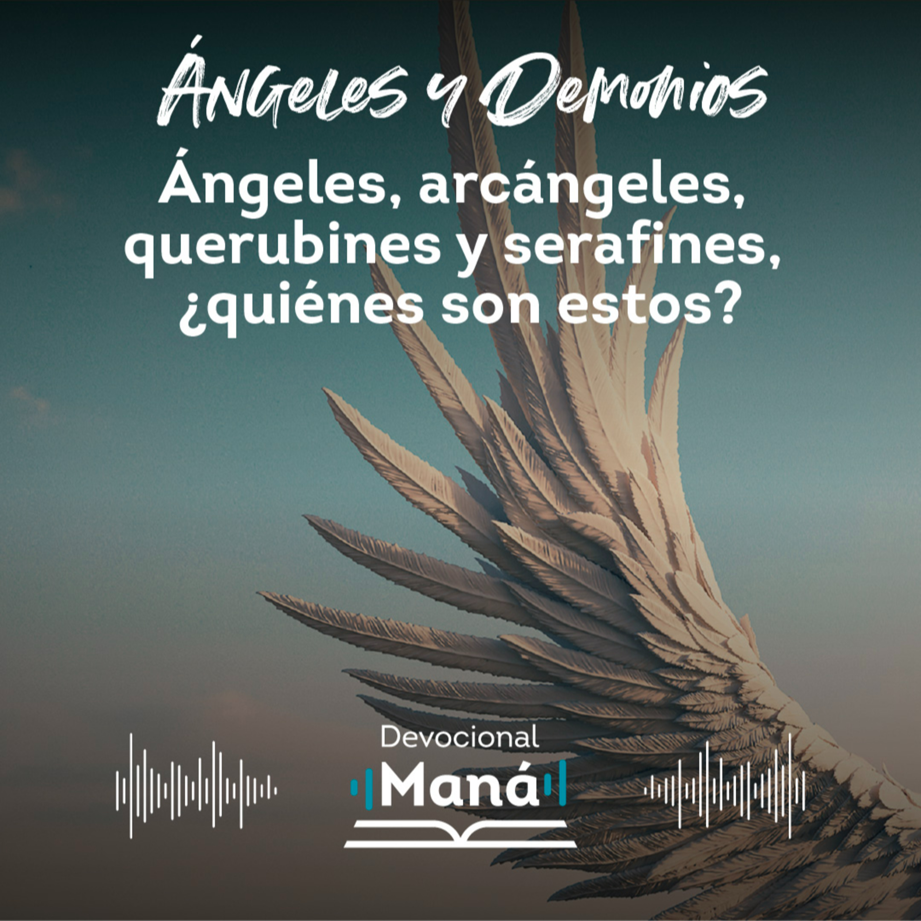Devocional │ Ángeles, Arcángeles, Querubines y Serafines, ¿QUIÉNES SON ESTOS? episode artwork